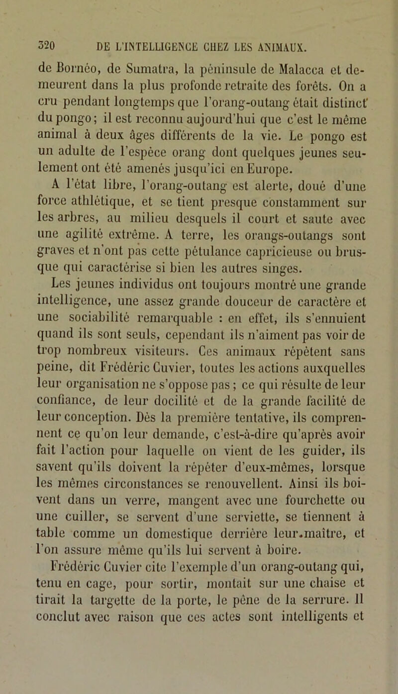 de Bornéo, de Sumatra, la péiiiiisiile de Malacca et de- meurent dans la plus profonde retraite des forêts. On a cru pendant longtemps que l’orang-outang était distinct' du pongo; il est reconnu aujourd’hui que c’est le même animal à deux âges différents de la vie. Le pongo est un adulte de l’espèce orang dont quelques jeunes seu- lement ont été amenés jusqu’ici en Europe. A l’état libre, l’orang-outang est alerte, doué d’une force athlétique, et se tient presque constamment sui- tes arbres, au milieu desquels il court et saute avec une agilité extrême. A terre, les orangs-outangs sont graves et n’ont pas cette pétulance capricieuse ou brus- que qui caractérise si bien les autres singes. Les jeunes individus ont toujours montré une grande intelligence, une assez grande douceur de caractère et une sociabilité remarquable : en effet, ils s’ennuient quand ils sont seuls, cependant ils n’aiment pas voir de trop nombreux visiteurs. Ces animaux répètent sans peine, dit Frédéric Cuvier, toutes les actions auxquelles leur organisation ne s’oppose pas ; ce qui résulte de leur confiance, de leur docilité et de la grande facilité de leur conception. Dés la première tentative, ils compren- nent ce qu’on leur demande, c’est-à-dire qu’après avoir fait l’action pour laquelle on vient de les guider, ils savent qu’ils doivent la répéter d’eux-mêmes, lorsque les mêmes circonstances se renouvellent. Ainsi ils boi- vent dans un verre, mangent avec une fourchette ou une cuiller, se servent d’une serviette, se tiennent à table comme un domestique derrière leur.maître, et l’on assure même qu’ils lui servent à boire. Frédéric Cuvier cite l’exemple d’un orang-outang qui, tenu en cage, pour sortir, montait sur une chaise et tirait la targette de la porte, le pêne de la serrure. 11 conclut avec raison que ces actes sont intelligents et