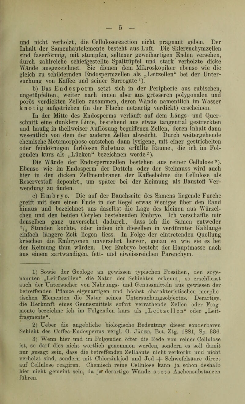 und nicht verholzt, die Cellulosereaction nicht prägnant geben. Der Inhalt der Samenhautelemente besteht aus Luft. Die Sklerenchymzellen sind faserförmig, mit stumpfen, seltener geweihartigen Enden versehen, durch zahlreiche schiefgestellte Spalttüpfel und stark verholzte dicke Wände ausgezeichnet. Sie dienen dem Mikroskopiker ebenso wie die gleich zu schildernden Endospermzellen als „Leitzellen“ bei der Unter- suchung von Kaffee und seiner Surrogate *). b) Das Endosperm setzt sich in der Peripherie aus cubischen, ungetüpfelten, weiter nach innen aber aus grösseren polygonalen und porös verdickten Zellen zusammen, deren Wände namentlich im Wasser knotig aufgetrieben (in der Fläche netzartig verdickt) erscheinen. In der Mitte des Endosperms verläuft auf dem Längs- und Quer- schnitt eine dunklere Linie, bestehend aus etwas tangential gestreckten und häufig in theilweiser Auflösung begriffenen Zellen, deren Inhalt danu wesentlich von dem der anderen Zellen abweicht. Durch weitergehende chemische Metamorphose entstehen dann lysigene, mit einer gestrichelten oder feinkörnigen farblosen Substanz erfüllte Räume, die ich im Fol- genden kurz als „Lücken“ bezeichnen werde1 2). Die Wände der Endospermzellen bestehen aus reiner Cellulose3). Ebenso wie im Endosperm der Datteln oder der Steinnuss wird auch hier in den dicken Zellmembranen der Kaffeebohne die Cellulose als Reservestoff deponirt, um später bei der Keimung als Baustoff Ver- wendung zu finden. c) Embryo. Die auf der Bauchseite des Samens liegende Furche greift mit dem einen Ende in der Regel etwas Weniges über den Rand hinaus und bezeichnet uns daselbst die Lage des kleinen aus Würzel- chen und den beiden Cotylen bestehenden Embryo. Ich verschaffte mir denselben ganz unversehrt dadurch, dass ich die Samen entweder 3/4 Stunden kochte, oder indem ich dieselben in verdünnter Kalilauge einfach längere Zeit liegen liess. In Folge der ein tretenden Quellung kriechen die Embryonen unversehrt hervor, genau so wie sie es bei der Keimung thun würden. Der Embryo besteht der Hauptmasse nach aus einem zartwandigen, fett- und eiweissreichen Parenchym. 1) Sowie der Geologe an gewissen typischen Fossilien, den soge- nannten „Leitfossilien“ die Natur der Schichten erkennt, so erschliesst auch der Untersucher von Nahrungs- und Genussmitteln aus gewissen der betreffenden Pflanze eigenartigen und höchst charakteristischen morpho- tischen Elementen die Natur seines Untersuchungsobjectes. Derartige, die Herkunft eines Genussmittels sofort verrathende Zellen oder Frag- mente bezeichne ich im Folgenden kurz als „Leitzellen“ oder „Leit- fragmente“. 2) Ueber die angebliche biologische Bedeutung dieser sonderbaren Schicht des Coffea-Endosperms vergl. 0. Jäger, Bot. Ztg. 1881, Sp. 336. 3) Wenn hier und im Folgenden öfter die Rede von reiner Cellulose ist, so darf dies nicht wörtlich genommen werden, sondern es soll damit nur gesagt sein, dass die betreffenden Zellhäute nicht verkorkt und nicht verholzt sind, sondern mit Chlorzinkjod und Jod -f- Schwefelsäure direct auf Cellulose reagiren. Chemisch reine Cellulose kann ja schon deshalb hier nicht gemeint sein, da jaf derartige Wände stets Aschensubstanzen führen.