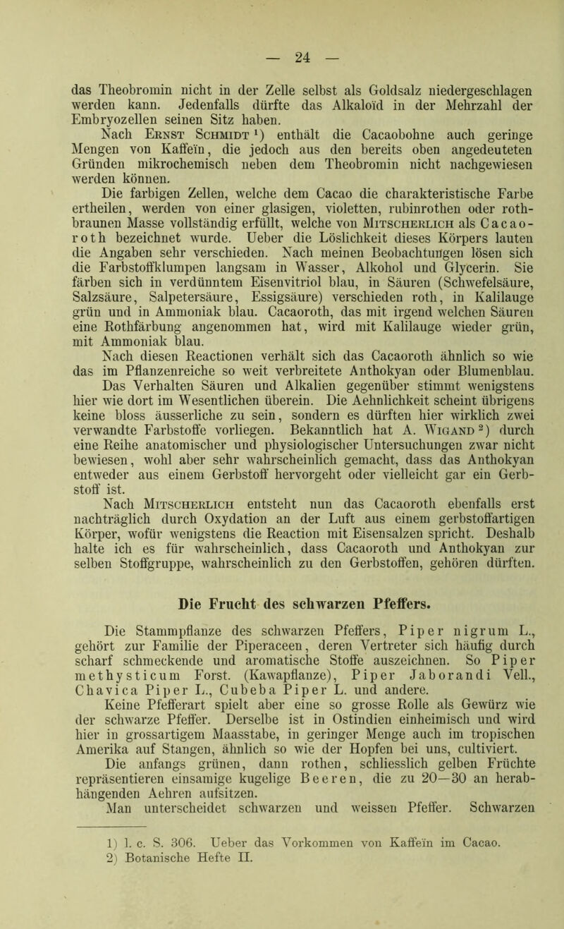 das Theobromin nicht in der Zelle selbst als Goldsalz niedergeschlagen werden kann. Jedenfalls dürfte das Alkaloid in der Mehrzahl der Embryozellen seinen Sitz haben. Nach Ernst Schmidt *) enthält die Cacaobohne auch geringe Mengen von Kaffein, die jedoch aus den bereits oben angedeuteten Gründen mikrochemisch neben dem Theobromin nicht nachgewiesen werden können. Die farbigen Zellen, welche dem Cacao die charakteristische Farbe ertheilen, werden von einer glasigen, violetten, rubinrothen oder roth- braunen Masse vollständig erfüllt, welche von Mitscherlich als Cacao - roth bezeichnet wurde. Ueber die Löslichkeit dieses Körpers lauten die Angaben sehr verschieden. Nach meinen Beobachtungen lösen sich die Farbstoffklumpen langsam in Wasser, Alkohol und Glycerin. Sie färben sich in verdünntem Eisenvitriol blau, in Säuren (Schwefelsäure, Salzsäure, Salpetersäure, Essigsäure) verschieden roth, in Kalilauge grün und in Ammoniak blau. Cacaoroth, das mit irgend welchen Säuren eine Rothfärbung angenommen hat, wird mit Kalilauge wieder grün, mit Ammoniak blau. Nach diesen Reactionen verhält sich das Cacaoroth ähnlich so wie das im Pflanzenreiche so weit verbreitete Anthokyan oder Blumenblau. Das Verhalten Säuren und Alkalien gegenüber stimmt wenigstens hier wie dort im Wesentlichen überein. Die Aehnlichkeit scheint übrigens keine bloss äusserliche zu sein, sondern es dürften hier wirklich zwei verwandte Farbstoffe vorliegen. Bekanntlich hat A. Wigand1 2) durch eine Reihe anatomischer und physiologischer Untersuchungen zwar nicht bewiesen, wohl aber sehr wahrscheinlich gemacht, dass das Anthokyan entweder aus einem Gerbstoff hervorgeht oder vielleicht gar ein Gerb- stoff ist. Nach Mitscherlich entsteht nun das Cacaoroth ebenfalls erst nachträglich durch Oxydation an der Luft aus einem gerbstoffartigen Körper, wofür wenigstens die Reaction mit Eisensalzen spricht. Deshalb halte ich es für wahrscheinlich, dass Cacaoroth und Anthokyan zur selben Stoffgruppe, wahrscheinlich zu den Gerbstoffen, gehören dürften. Die Frucht des schwarzen Pfeifers. Die Stammpflanze des schwarzen Pfeffers, Piper nigrum L., gehört zur Familie der Piperaceen, deren Vertreter sich häufig durch scharf schmeckende und aromatische Stoffe auszeichnen. So Piper methysticum Forst. (Kawapflanze), Piper Jabo ran di Veil., Chavica Piper L., Cubeba Piper L. und andere. Keine Pfefferart spielt aber eine so grosse Rolle als Gewürz wie der schwarze Pfeffer. Derselbe ist in Ostindien einheimisch und wird hier in grossartigem Maasstabe, in geringer Menge auch im tropischen Amerika auf Stangen, ähnlich so wie der Hopfen bei uns, cultiviert. Die anfangs grünen, dann rothen, schliesslich gelben Früchte repräsentieren einsamige kugelige Beeren, die zu 20—30 an herab- hängenden Aehren aufsitzen. Man unterscheidet schwarzen und weissen Pfeffer. Schwarzen 1) 1. c. S. 306. Ueber das Vorkommen von Kaffein im Cacao. 2) Botanische Hefte II.