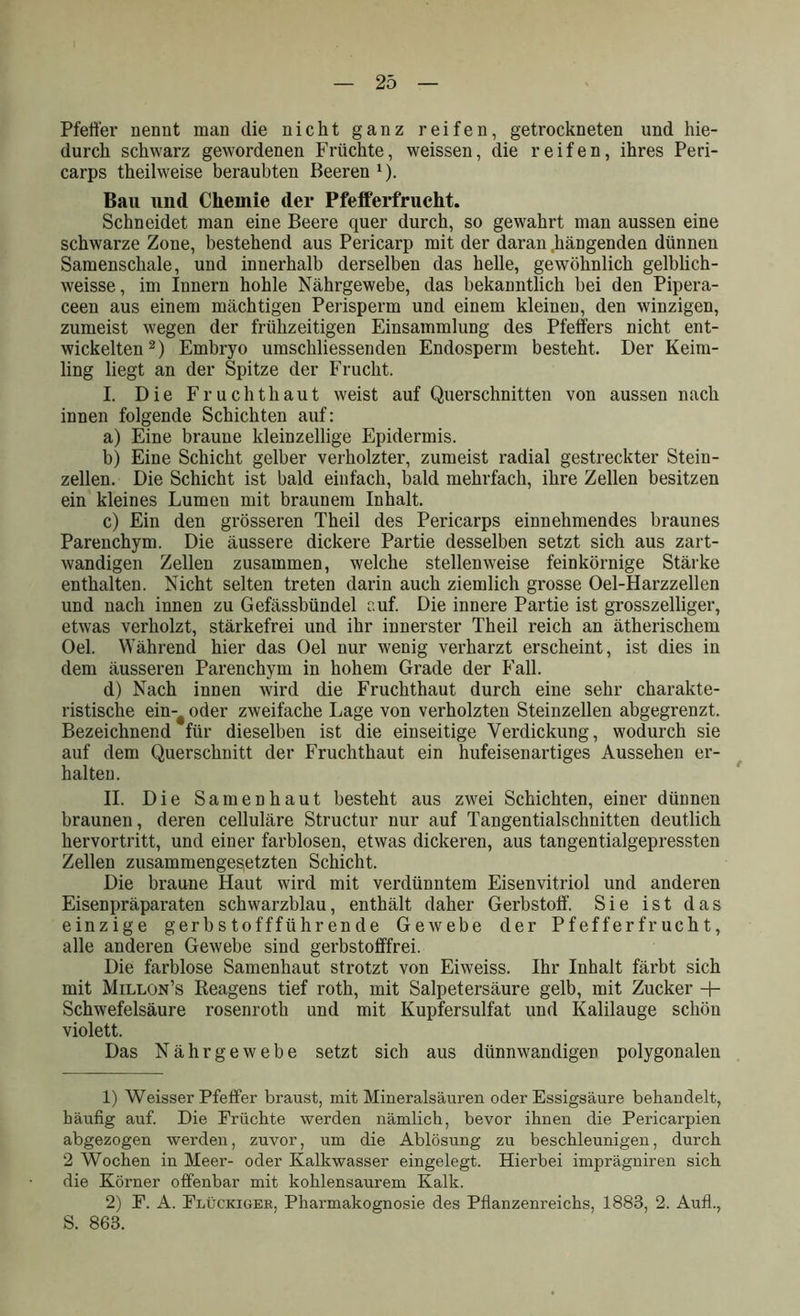 Pfeffer nennt man die nicht ganz reifen, getrockneten und hie- durch schwarz gewordenen Früchte, weissen, die reifen, ihres Peri- carps theilweise beraubten Beeren 1). Bau und Chemie der Pfefferfrucht. Schneidet man eine Beere quer durch, so gewahrt man aussen eine schwarze Zone, bestehend aus Pericarp mit der daran .hängenden dünnen Samenschale, und innerhalb derselben das helle, gewöhnlich gelblich- weisse, im Innern hohle Nährgewebe, das bekanntlich bei den Pipera- ceen aus einem mächtigen Perisperm und einem kleinen, den winzigen, zumeist wegen der frühzeitigen Einsammlung des Pfeifers nicht ent- wickelten2) Embryo umschliessenden Endosperm besteht. Der Keim- ling liegt an der Spitze der Frucht. I. Die Fruchthaut weist auf Querschnitten von aussen nach innen folgende Schichten auf: a) Eine braune kleinzellige Epidermis. b) Eine Schicht gelber verholzter, zumeist radial gestreckter Stein- zellen. Die Schicht ist bald einfach, bald mehrfach, ihre Zellen besitzen ein kleines Lumen mit braunem Inhalt. c) Ein den grösseren Theil des Pericarps einnehmendes braunes Parenchym. Die äussere dickere Partie desselben setzt sich aus zart- wandigen Zellen zusammen, welche stellenweise feinkörnige Stärke enthalten. Nicht selten treten darin auch ziemlich grosse Oel-Harzzellen und nach innen zu Gefässbündel cuf. Die innere Partie ist grosszeiliger, etwas verholzt, stärkefrei und ihr innerster Theil reich an ätherischem Oel. Während hier das Oel nur wenig verharzt erscheint, ist dies in dem äusseren Parenchym in hohem Grade der Fall. d) Nach innen wird die Fruchthaut durch eine sehr charakte- ristische ein-# oder zweifache Lage von verholzten Steinzellen abgegrenzt. Bezeichnend für dieselben ist die einseitige Verdickung, wodurch sie auf dem Querschnitt der Fruchthaut ein hufeisenartiges Aussehen er- halten. II. Die Samenhaut besteht aus zwei Schichten, einer dünnen braunen, deren celluläre Structur nur auf Tangentialschnitten deutlich hervortritt, und einer farblosen, etwas dickeren, aus tangentialgepressten Zellen zusammengesetzten Schicht. Die braune Haut wird mit verdünntem Eisenvitriol und anderen Eisenpräparaten schwarzblau, enthält daher Gerbstoff. Sie ist das einzige gerbstoffführende Gewebe der Pfefferfrucht, alle anderen Gewebe sind gerbstofffrei. Die farblose Samenhaut strotzt von Eiweiss. Ihr Inhalt färbt sich mit Millon’s Reagens tief roth, mit Salpetersäure gelb, mit Zucker -+- Schwefelsäure rosenroth und mit Kupfersulfat und Kalilauge schön violett. Das Nährgewebe setzt sich aus dünnwandigen polygonalen 1) Weisser Pfeffer braust, mit Mineralsäuren oder Essigsäure behandelt, häufig auf. Die Früchte werden nämlich, bevor ihnen die Pericarpien abgezogen werden, zuvor, um die Ablösung zu beschleunigen, durch 2 Wochen in Meer- oder Kalkwasser eingelegt. Hierbei imprägniren sich die Körner offenbar mit kohlensaurem Kalk. 2) F. A. Flückiger, Pharmakognosie des Pflanzenreichs, 1883, 2. Aufl., S. 863.