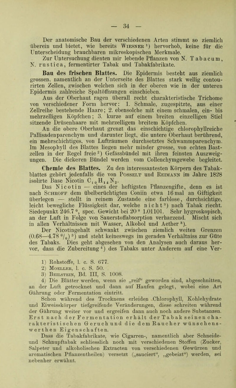 Der anatomische Bau der verschiedenen Arten stimmt so ziemlich überein und bietet, wie bereits Wiesner1) hervorhob, keine für die Unterscheidung brauchbaren mikroskopischen Merkmale. Zur Untersuchung dienten mir lebende Pflanzen von N. Tabacum, N. rustica, fermentirter Tabak und Tabakfabrikate. Bau des frischen Blattes. Die Epidermis besteht aus ziemlich grossen, namentlich an der Unterseite des Blattes stark wellig contou- rirten Zellen, zwischen welchen sich in der oberen wie in der unteren Epidermis zahlreiche Spaltöffnungen einschieben. Aus der Oberhaut ragen überall recht charakteristische Trichome von verschiedener Form hervor: 1. Schmale, zugespitzte, aus einer Zellreihe bestehende Haare; 2. ebensolche mit einem schmalen, ein- bis mehrzelligen Köpfchen; 3. kurze auf einem breiten einzelligen Stiel sitzende Drüsenhaare mit mehrzelligem breitem Köpfchen. An die obere Oberhaut grenzt das einschichtige chlorophyllreiche Pallisadenparenchym und darunter liegt, die untere Oberhaut berührend, ein mehrschichtiges, von Lufträumen durchsetztes Schwammparenchym. Im Mesophyll des Blattes liegen mehr minder grosse, von echten Bast- zellen in der Regel freie2) Gefässbündel mit ihren feinsten Auszweig- ungen. Die dickeren Bündel werden vom Collenchymgewebe begleitet. Chemie des Blattes. Zu den interessantesten Körpern des Tabak- blattes gehört jedenfalls die von Posselt und Reimann im Jahre 1828 isolirte Base Nicotin Cl0H14N2. Das Nicotin — eines der heftigsten Pflanzengifte, denn es ist nach Schroff dem übelberüchtigten Coniin etwa 16 mal an Giftigkeit überlegen — stellt in reinem Zustande eine farblose, durchsichtige, leicht bewegliche Flüssigkeit dar, welche nicht3) nach Tabak riecht. Siedepunkt 246.7 °, spec. Gewicht bei 200 1.01101. Sehr hygroskopisch, an der Luft in Folge von Sauerstotfabsorption verharzend. Mischt sich in allen Verhältnissen mit Wasser, Alkohol und Aether s). Der Nicotingehalt schwankt zwischen ziemlich weiten Grenzen (0.68—4.78 °/0)3) und steht keineswegs im geraden Verhältniss zur Güte des Tabaks. Dies geht abgesehen von den Analysen auch daraus her- vor, dass die Zubereitung4) des Tabaks unter Anderem auf eine Ver- 1) Rohstoffe, 1. c. S. 677. 2) Moeller, 1. c. S. 50. 3) Beilstein, Bd. III, S. 1008. 4) Die Blätter werden, wenn sie „reif“ geworden sind, abgeschnitten, an der Luft getrocknet und dann auf Haufen gelegt, wobei eine Art Gährung oder Fermentation eintritt. Schon während des Trocknens erleiden -Chlorophyll, Kohlehydrate und Ei weisskörper tiefgreifende Veränderungen, diese schreiten während der Gährung weiter vor und ergreifen dann auch noch andere Substanzen. Erst nach d er F e r me n t a ti on erhält der Tabak seinen cha- rakteristischen Geruch und die dem Raucher wünschens- werthen Eigenschaften. Dass die Tabakfabrikate, wie Cigarren-, namentlich aber Schneide- und Schnupftabak schliesslich noch mit verschiedenen Stoffen (Zucker, Salpeter und alkoholischen Extracten von verschiedenen Gewürzen und aromatischen Pflanzentheilen) versetzt („sauciert“, „gebeizt“) werden, sei nebenher erwähnt.