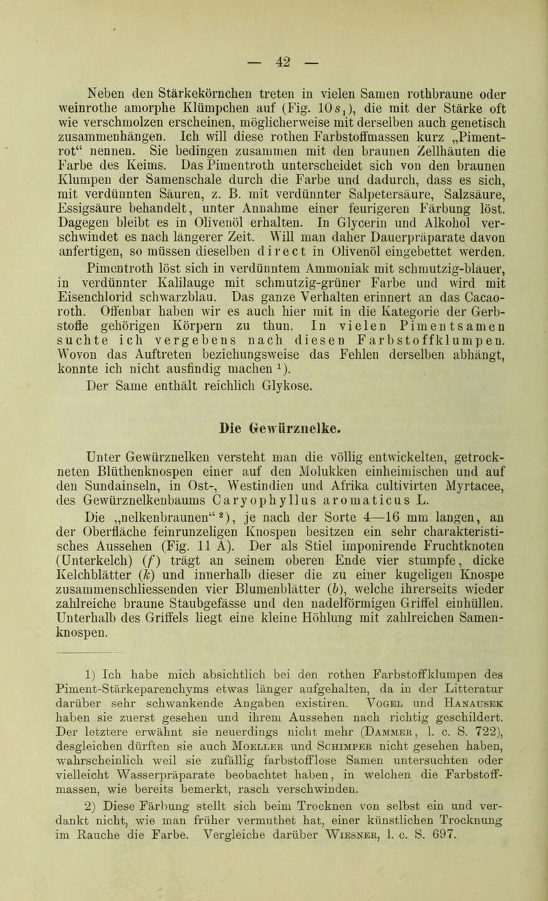 Neben den Stärkekörnchen treten in vielen Samen rotkbraune oder weinrotlie amorphe Klümpchen auf (Fig. 10 s,), die mit der Stärke oft wie verschmolzen erscheinen, möglicherweise mit derselben auch genetisch Zusammenhängen. Ich will diese rothen Farbstotfmassen kurz „Piment- rot“ nennen. Sie bedingen zusammen mit den braunen Zellhäuten die Farbe des Keims. Das Pimentroth unterscheidet sich von den braunen Klumpen der Samenschale durch die Fax-be und dadurch, dass es sich, mit verdünnten Säuren, z. B. mit verdünnter Salpetersäure, Salzsäure, Essigsäure behandelt, unter Annahme einer feurigeren Färbung löst. Dagegen bleibt es in Oliveuöl erhalten. In Glycerin und Alkohol ver- schwindet es nach längerer Zeit. Will man daher Dauerpräparate davon anfertigen, so müssen dieselben direct in Olivenöl eingebettet werden. Pimentroth löst sich in verdünntem Ammoniak mit schmutzig-blauer, in verdünnter Kalilauge mit schmutzig-grüner Farbe und wird mit Eisenchlorid schwarzblau. Das ganze Verhalten erinnert an das Cacao- roth. Offenbar haben wir es auch hier mit in die Kategorie der Gerb- stoffe gehörigen Körpern zu thuu. In vielen Piments amen suchte ich vergebens nach diesen Farbstoffklumpen. Wovon das Auftreten beziehungsweise das Fehlen derselben abhängt, konnte ich nicht ausfindig machen 1). Der Same enthält reichlich Glykose. Die Gewürznelke. Unter Gewüi’znelken versteht man die völlig entwickelten, getrock- neten Blüthenknospen einer auf den Molukken einheimischen und auf den Sundainseln, in Ost-, Westindien und Afrika cultivirten Myrtacee, des Gewürznelkenbaums Caryophyllus aromaticus L. Die „nelkenbraunen“2), je nach der Sorte 4—16 mm langen, an der Oberfläche feinrunzeligen Knospen besitzen ein sehr charakteristi- sches Aussehen (Fig. 11 A). Der als Stiel imponirende Fruchtknoten (Unterkelch) (f) trägt an seinem obei'eu Ende vier stumpfe, dicke Kelchblätter (k) und innerhalb dieser die zu einer kugeligen Knospe zusammensckliessenden vier Blumenblätter (b), welche ihrerseits wieder zahlreiche braune Staubgefässe und den nadelförmigen Griffel einhüllen. Unterhalb des Griffels liegt eine kleine Höhlung mit zahlreichen Samen- knospen. 1) Ich habe mich absichtlich bei den rothen Farbstoffklumpen des Piment-Stärkeparenchyms etwas länger aufgehalten, da in der Litteratur darüber sehr schwankende Angaben existiren. Vogel und Hanausek haben sie zuerst gesehen und ihrem Aussehen nach richtig geschildert. Der letztere erwähnt sie neuerdings nicht mehr (Dämmer, 1. c. S. 722), desgleichen dürften sie auch Moeller und Schimpek nicht gesehen haben, wahrscheinlich weil sie zufällig farbstofflose Samen untersuchten oder vielleicht Wasserpräparate beobachtet haben, in welchen die Farbstoff- massen, wie bereits bemerkt, rasch verschwinden. 2) Diese Färbung stellt sich beim Trocknen von selbst ein und ver- dankt nicht, wie man früher vermuthet hat, einer künstlichen Trocknung im Rauche die Farbe. Vergleiche darüber Wiesner, 1. c. S. 697.