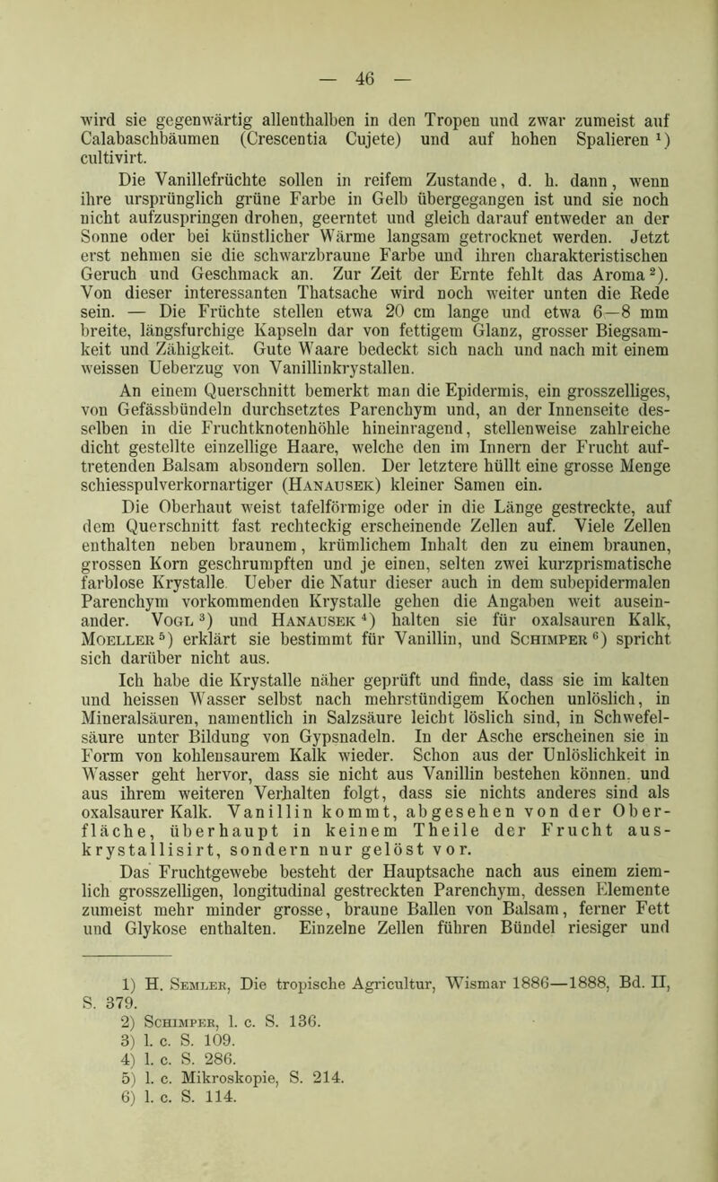 wird sie gegenwärtig allenthalben in den Tropen und zwar zumeist auf Calabaschbäumen (Crescentia Cujete) und auf hohen Spalieren *) cultivirt. Die Vanillefrüchte sollen in reifem Zustande, d. h. dann, wenn ihre ursprünglich grüne Farbe in Gelb übergegangen ist und sie noch nicht aufzuspringen drohen, geerntet und gleich darauf entweder an der Sonne oder bei künstlicher Wärme langsam getrocknet werden. Jetzt erst nehmen sie die schwarzbraune Farbe und ihren charakteristischen Geruch und Geschmack an. Zur Zeit der Ernte fehlt das Aroma1 2). Von dieser interessanten Thatsache wird noch weiter unten die Rede sein. — Die Früchte stellen etwa 20 cm lange und etwa 6—8 mm breite, längsfurchige Kapseln dar von fettigem Glanz, grosser Biegsam- keit und Zähigkeit. Gute Waare bedeckt sich nach und nach mit einem weissen Ueberzug von Vanillinkrystallen. An einem Querschnitt bemerkt man die Epidermis, ein grosszelliges, von Gefässbündeln durchsetztes Parenchym und, an der Innenseite des- selben in die Fruchtknotenhöhle hineinragend, stellenweise zahlreiche dicht gestellte einzellige Haare, welche den im Innern der Frucht auf- tretenden Balsam absondern sollen. Der letztere hüllt eine grosse Menge schiesspulverkornartiger (Hanausek) kleiner Samen ein. Die Oberhaut weist tafelförmige oder in die Länge gestreckte, auf dem Querschnitt fast rechteckig erscheinende Zellen auf. Viele Zellen enthalten neben braunem, krümlichem Inhalt den zu einem braunen, grossen Korn geschrumpften und je einen, selten zwei kurzprismatische farblose Krystalle Ueber die Natur dieser auch in dem subepidermalen Parenchym vorkommenden Krystalle gehen die Angaben weit ausein- ander. Vogl 3) und Hanausek 4) halten sie für oxalsauren Kalk, Moeller5) erklärt sie bestimmt für Vanillin, und Schimper6) spricht sich darüber nicht aus. Ich habe die Krystalle näher geprüft und finde, dass sie im kalten und heissen Wasser selbst nach mehrstündigem Kochen unlöslich, in Mineralsäuren, namentlich in Salzsäure leicht löslich sind, in Schwefel- säure unter Bildung von Gypsnadeln. In der Asche erscheinen sie in Form von kohlensaurem Kalk wieder. Schon aus der Unlöslichkeit in Wasser geht hervor, dass sie nicht aus Vanillin bestehen können, und aus ihrem weiteren Verhalten folgt, dass sie nichts anderes sind als oxalsaurer Kalk. Vanillin kommt, abgesehen von der Ober- fläche, überhaupt in keinem Theile der Frucht aus- krystallisirt, sondern nur gelöst vor. Das Fruchtgewebe besteht der Hauptsache nach aus einem ziem- lich grosszelligen, longitudinal gestreckten Parenchym, dessen Elemente zumeist mehr minder grosse, braune Ballen von Balsam, ferner Fett und Glykose enthalten. Einzelne Zellen führen Bündel riesiger und 1) H. Semeer, Die tropische Agricultur, Wismar 1886—1888, Bd. II, S. 379. 2) Schimper, 1. c. S. 136. 3) 1. c. S. 109. 4) 1. c. S. 286. 5) 1. c. Mikroskopie, S. 214. 6) 1. c. S. 114.