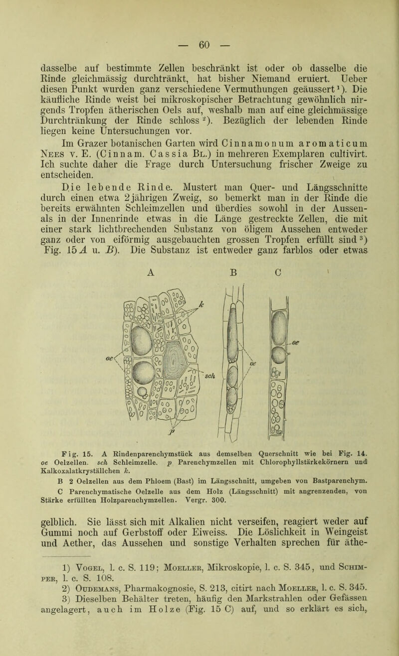 dasselbe auf bestimmte Zellen beschränkt ist oder ob dasselbe die Rinde gleichmässig durchtränkt, hat bisher Niemand eruiert. Ueber diesen Punkt wurden ganz verschiedene Yermuthungen geäussert1). Die käufliche Rinde weist bei mikroskopischer Betrachtung gewöhnlich nir- gends Tropfen ätherischen Oels auf, weshalb man auf eine gleichmässige Durchtränkung der Rinde schloss2). Bezüglich der lebenden Rinde liegen keine Untersuchungen vor. Im Grazer botanischen Garten wird Cinnamonum aromaticum Nees v. E. (Cinnam. Cassia Bl.) in mehreren Exemplaren cultivirt. Ich suchte daher die Frage durch Untersuchung frischer Zweige zu entscheiden. Die lebende Rinde. Mustert man Quer- und Längsschnitte durch einen etwa 2jährigen Zweig, so bemerkt man in der Rinde die bereits erwähnten Schleimzellen und überdies sowohl in der Aussen- als in der Innenrinde etwas in die Länge gestreckte Zellen, die mit einer stark lichtbrechenden Substanz von öligem Aussehen entweder ganz oder von eiförmig ausgebauchten grossen Tropfen erfüllt sind 3) Fig. 15 A u. B). Die Substanz ist entweder ganz farblos oder etwas Fig. 15. A Rindenparenchymstück aus demselben Querschnitt wie bei Fig. 14. oe Oelzellen. sch Schleimzelle, p Parenchymzellen mit Chlorophyllstärkekörnern und Kalkoxalatkryställchen Je. B 2 Oelzellen aus dem Phloem (Bast) im Längsschnitt, umgehen von Bastparenchym. C Parenchymatische Oelzelle aus dem Holz (Längsschnitt) mit angrenzenden, von Stärke erfüllten Holzparenchymzellen. Vergr. 300. gelblich. Sie lässt sich mit Alkalien nicht verseifen, reagiert weder auf Gummi noch auf Gerbstoff oder Eiweiss. Die Löslichkeit in Weingeist und Aether, das Aussehen und sonstige Verhalten sprechen für äthe- 1) Vogel, 1. c. S. 119; Moeller, Mikroskopie, 1. c. S. 345, und Schim- per, 1. c. S. 108. 2) Oudemans, Pharmakognosie, S. 213, citirt nach Moeller, 1. c. S. 345. 3) Dieselben Behälter treten, häufig den Markstrahlen oder Gefässen angelagert, auch im Holze (Fig. 15 C) auf, und so erklärt es sich,