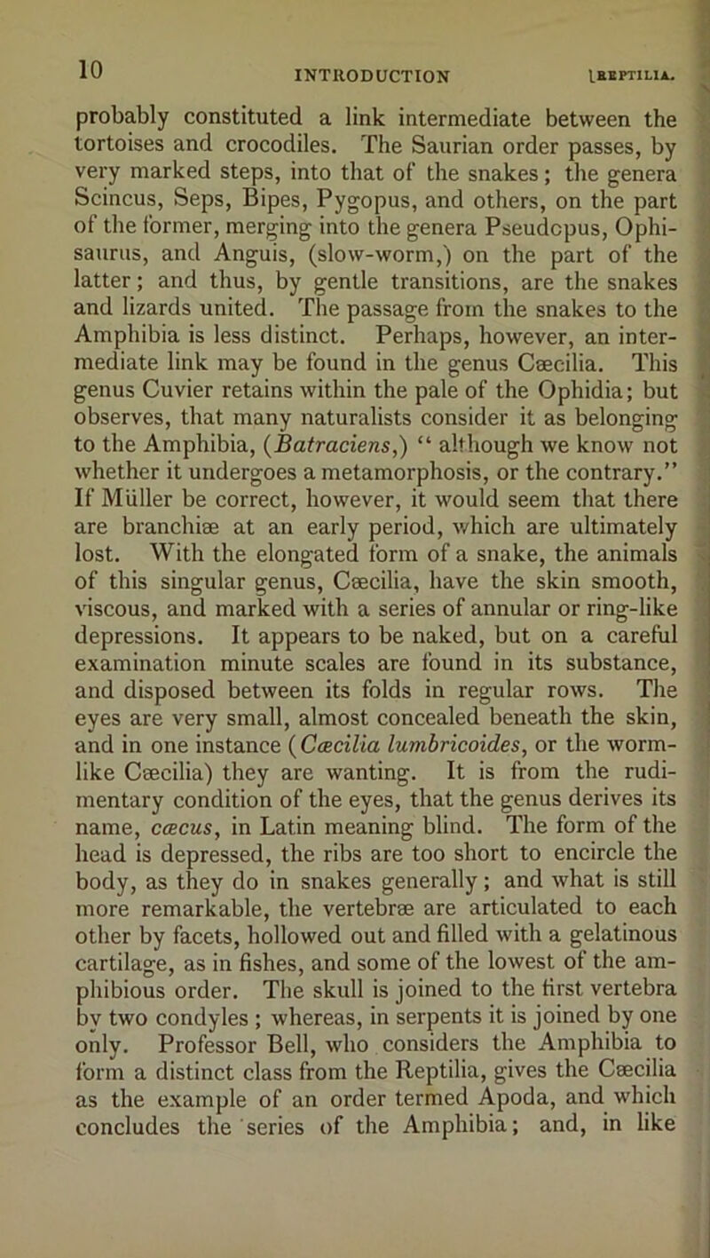 I probably constituted a link intermediate between the ; tortoises and crocodiles. The Saurian order passes, by j very marked steps, into that of the snakes; the genera j Scincus, Seps, Bipes, Pygopus, and others, on the part i of the former, merging into the genera Pseudcpus, Ophi- ) saurus, and Anguis, (slow-worm,) on the part of the j latter; and thus, by gentle transitions, are the snakes , and lizards united. The passage from the snakes to the j Amphibia is less distinct. Perhaps, however, an inter- || mediate link may be found in the genus Caecilia. This I genus Cuvier retains within the pale of the Ophidia; but | observes, that many naturalists consider it as belonging | to the Amphibia, {Batraciens,) “ although we know not I whether it undergoes a metamorphosis, or the contrary.” \ If Muller be correct, however, it would seem that there ; are branchiae at an early period, which are ultimately • lost. With the elongated form of a snake, the animals \ of this singular genus, Caecilia, have the skin smooth, ‘ viscous, and marked with a series of annular or ring-like depressions. It appears to be naked, but on a careful examination minute scales are found in its substance, and disposed between its folds in regular rows. The j eyes are very small, almost concealed beneath the skin, ; and in one instance ( Ccecilia lumbricoides, or the worm- , like Ceecilia) they are wanting. It is from the rudi- i mentary condition of the eyes, that the genus derives its .' name, ccecus, in Latin meaning blind. The form of the head is depressed, the ribs are too short to encircle the body, as they do in snakes generally; and what is still more remarkable, the vertebrae are articulated to each other by facets, hollowed out and filled with a gelatinous cartilage, as in fishes, and some of the lowest of the am- phibious order. The skull is joined to the first vertebra by two condyles ; whereas, in serpents it is joined by one only. Professor Bell, who considers the Amphibia to form a distinct class from the Reptilia, gives the Caecilia as the example of an order termed Apoda, and which concludes the series of the Amphibia; and, in like