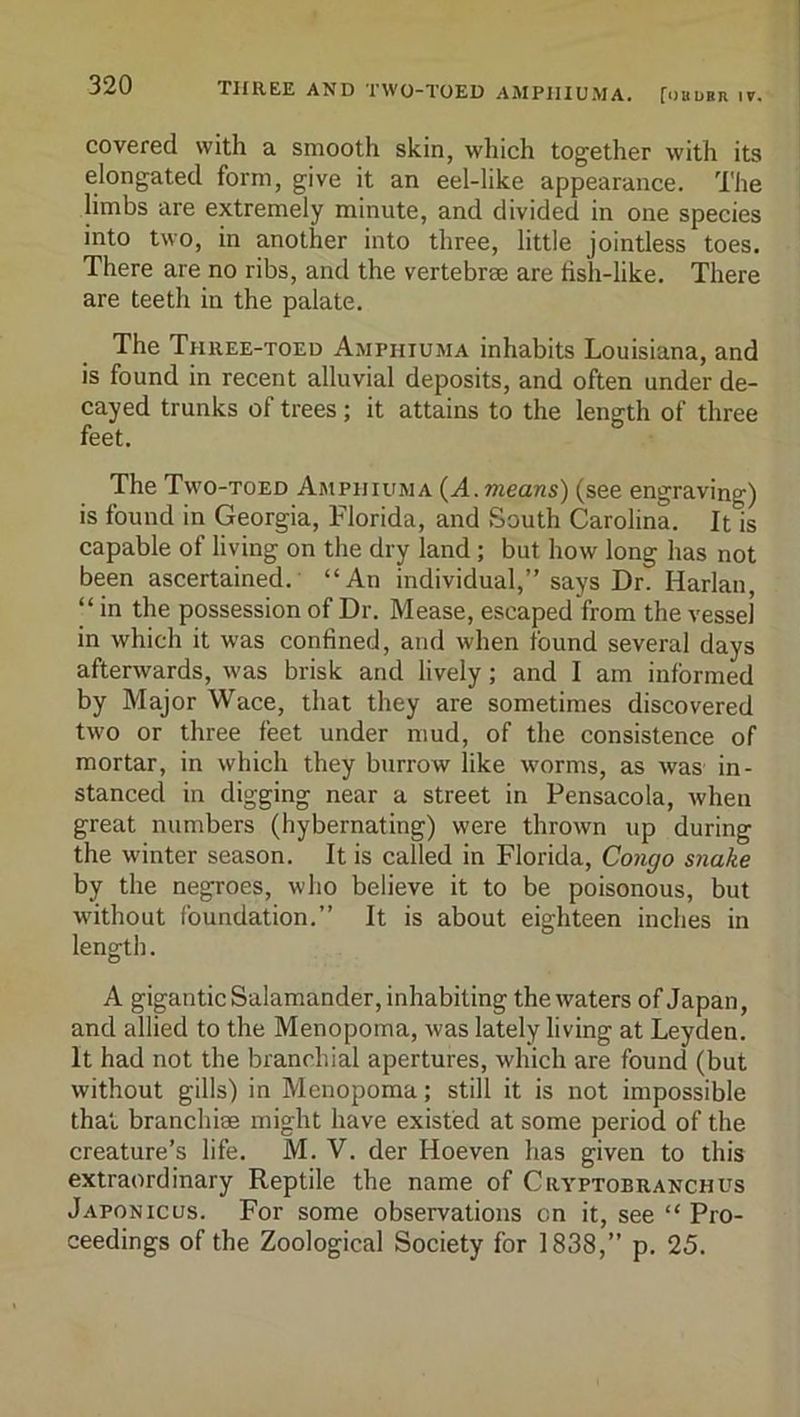 three and 1W0~T0ED AMPIHUMA. ^ouubr 17, covered with a smooth skin, which together with its elongated form, give it an eel-like appearance. The limbs are extremely minute, and divided in one species into two, in another into three, little jointless toes. There are no ribs, and the vertebras are tish-like. There are teeth in the palate. The Three-toed Amphiuma inhabits Louisiana, and is found in recent alluvial deposits, and often under de- cayed trunks of trees; it attains to the length of three feet. The Two-toed Amphiuma {^A.means) (see engraving) is found in Georgia, Florida, and South Carolina. It is capable of living on the dry land; but how long has not been ascertained. “An individual,” says Dr. Harlan, “ in the possession of Dr. Mease, escaped from the vessel in which it was confined, and when found several days afterwards, was brisk and lively; and I am informed by Major Wace, that they are sometimes discovered two or three feet under mud, of the consistence of mortar, in which they burrow like worms, as was in- stanced in digging near a street in Pensacola, when great numbers (hybernating) were thrown up during the winter season. It is called in Florida, Congo snake by the negroes, who believe it to be poisonous, but without foundation.” It is about eighteen inches in length. A gigantic Salamander, inhabiting the waters of Japan, and allied to the Menopoma, was lately living at Leyden. It had not the branchial apertures, which are found (but without gills) in Menopoma; still it is not impossible that branchiae might have existed at some period of the creature’s life. M. V. der Hoeven has given to this extraordinary Reptile the name of Cryptobranch us Japonicus. For some observations on it, see “ Pro- ceedings of the Zoological Society for 1838,” p. 25.