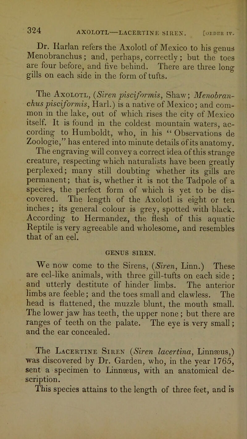 AXOLOTL—LACERTINE SIREN. [oiiDun IV. Dr. Harlan refers the Axolotl of Mexico to his genus Menobranchus; and, perhaps, correctly; but the toes are four before, and five behind. There are three long gills on each side in the form of tufts. The Axolotl, (Siren pisciformis, Shaw; Menobran- chus pisciformis, Harl.) is a native of Mexico; and com- mon in the lake, out of which rises the city of Mexico itself. It is found in the coldest mountain waters, ac- cording to Humboldt, who, in his “ Observations de Zoologie,” has entered into minute details of its anatomy. The engraving will convey a correct idea of this strange creature, respecting which naturalists have been greatly perplexed; many still doubting whether its gills are permanent; that is, whether it is not the Tadpole of a species, the perfect form of which is yet to be dis- covered. The length of the Axolotl is eight or ten inches; its general colour is grey, spotted with black. According to Hermandez, the flesh of this aquatic Reptile is very agreeable and wholesome, and resembles that of an eel. GENUS SIREN. We now come to the Sirens, (Siren, Linn.) Tliese are eel-like animals, with three gill-tufts on each side ; and utterly destitute of hinder limbs. The anterior limbs are feeble; and the toes small and clawless. The head is flattened, the muzzle blunt, the mouth small. The lower jaw has teeth, the upper none; but there are ranges of teeth on the palate. The eye is very small; and the ear concealed. The Lacertine Siren (Siren lacertina, Linnseus,) was discovered by Dr. Garden, who, in the year 1765, sent a specimen to Linnaeus, with an anatomical de- scription. This species attains to the length of three feet, and is