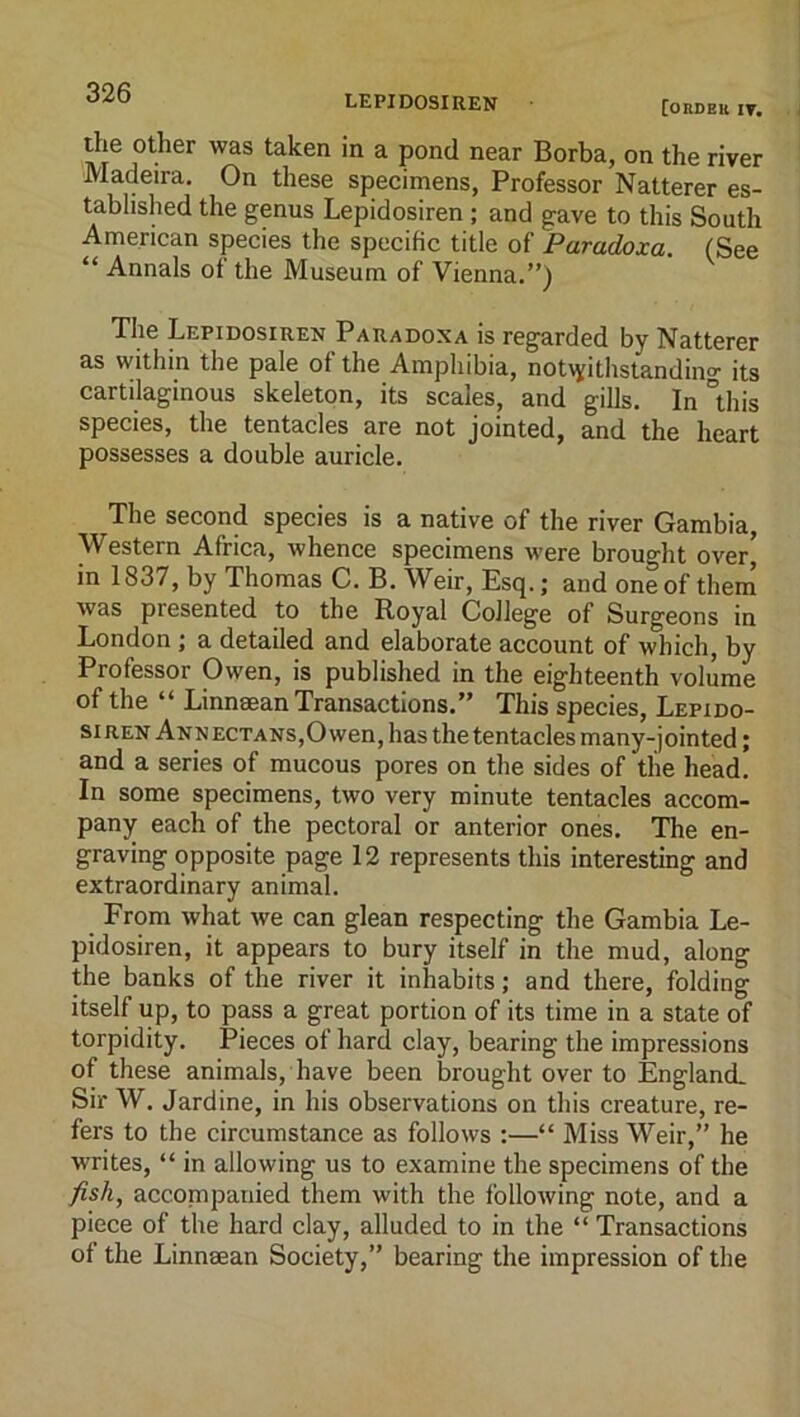 326 LEPIDOSIREN tOBDEtt IT. the other was taken in a pond near Borba, on the river Madeira. On these specimens, Professor Natterer es- tablished the genus Lepidosiren; and gave to this South American species the specific title of Paradoxa. (See “ Annals of the Museum of Vienna.”) The Lepidosiren Paradoxa is regarded by Natterer as within the pale of the Amphibia, notv^ithstandino- its cartilaginous skeleton, its scales, and gills. In °this species, the tentacles are not jointed, and the heart possesses a double auricle. The second species is a native of the river Gambia, Western Africa, whence specimens were brought over* in 1837, by Thomas C. B. Weir, Esq.; and one of them was presented to the Royal College of Surgeons in London ; a detailed and elaborate account of which, by Professor Owen, is published in the eighteenth volume of the “ Linnsean Transactions.” This species, Lepido- siren AnnectanSjO wen, has the tentacles many-jointed; and a series of mucous pores on the sides of the head. In some specimens, two very minute tentacles accom- pany each of the pectoral or anterior ones. The en- graving opposite page 12 represents this interesting and extraordinary animal. From what we can glean respecting the Gambia Le- pidosiren, it appears to bury itself in the mud, along the banks of the river it inhabits; and there, folding itself up, to pass a great portion of its time in a state of torpidity. Pieces of hard clay, bearing the impressions of these animals, have been brought over to England Sir W. Jardine, in his observations on this creature, re- fers to the circumstance as follows :—“ Miss Weir,” he writes, “ in allowing us to examine the specimens of the 7?s/i, accompanied them with the following note, and a piece of the hard clay, alluded to in the “ Transactions of the Linnaean Society,” bearing the impression of the