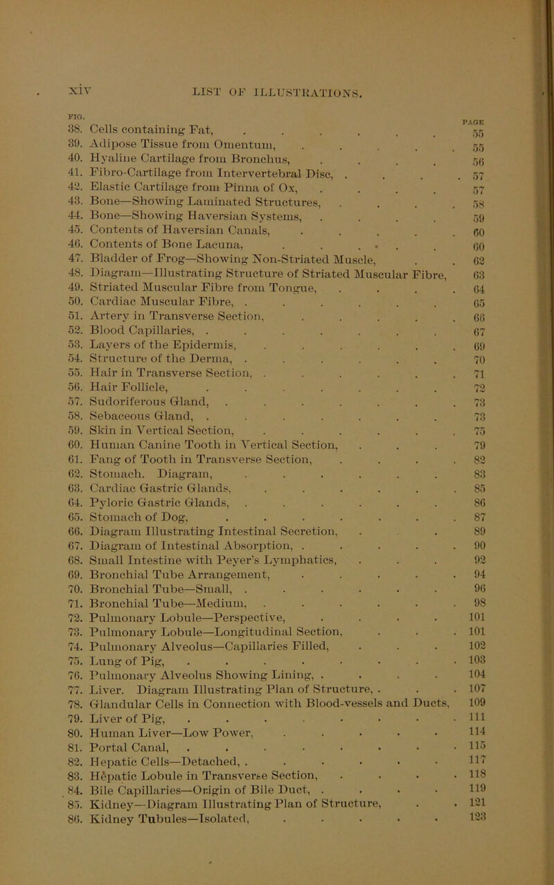 PIG. 88. Cells containing Fat, .... 39. Adipose Tissue from Omentum, .... 40. Hyaline Cartilage from Bronchus, .... 41. Fibro-Cartilage from Intervertebral Disc, . 42. Elastic Cartilage from Pinna of Ox, .... 43. Bone—Showing Laminated Structures, 44. Bone—Showing Haversian Systems, 45. Contents of Haversian Canals, .... 46. Contents of Bone Lacuna, . . ... 47. Bladder of Frog—Showing Non-Striated Muscle, 48. Diagram—Illustrating Structure of Striated Muscular Fibre, 49. Striated Muscular Fibre from Tongue, 50. Cardiac Muscular Fibre, ...... 51. Artery in Transverse Section, .... 52. Blood Capillaries, ....... 53. Layers of the Epidermis, ..... 54. Structure of the Derma, ...... 55. Hair in Transverse Section, ..... 56. Hair Follicle, ....... 57. Sudoriferous Gland, ...... 58. Sebaceous Gland, ....... 59. Skin in Vertical Section, ..... 60. Human Canine Tooth in Vertical Section, 61. Fang of Tooth in Transverse Section, 62. Stomach. Diagram, ...... 63. Cardiac Gastric Glands, ..... 64. Pyloric Gastric Glands, ...... 65. Stomach of Dog, ...... 66. Diagram Illustrating Intestinal Secretion, 67. Diagram of Intestinal Absorption, .... 68. Small Intestine with Peyer’s Lymphatics, 69. Bronchial Tube Arrangement, .... 70. Bronchial Tube—Small, ...... 71. Bronchial Tube—Medium, ..... 72. Pulmonary Lobule—Perspective, .... 73. Pulmonary Lobule—Longitudinal Section, 74. Pulmonary Alveolus—Capillaries Filled, 75. Lung of Pig, ....... 76. Pulmonary Alveolus Showing Lining, .... 77. Liver. Diagram Illustrating Plan of Structure, . 78. Glandular Cells in Connection with Blood-vessels and Ducts, 79. Liver of Pig, ....... 80. Human Liver—Low Power, ..... 81. Portal Canal, ....... 82. Hepatic Cells—Detached, ...... 83. Hepatic Lobule in Transverse Section, 84. Bile Capillaries—Origin of Bile Duct, .... 85. Kidney—Diagram Illustrating Plan of Structure, 86. Kidney Tubules—Isolated, ..... PAGE 55 55 56 57 57 58 59 60 60 62 63 64 65 60 67 69 70 71 72 73 73 75 79 82 83 85 86 87 89 90 92 94 90 98 101 101 102 103 104 107 109 111 114 115 117 118 119 121 123