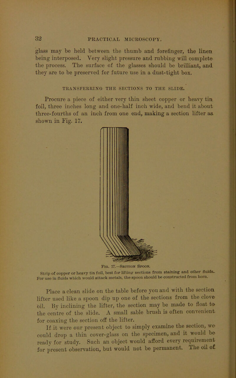 glass may be held between the thumb and forefinger, the linen being interposed. Very slight pressure and rubbing will complete the process. The surface of the glasses should be brilliant, and they are to be preserved for future use in a dust-tight box. TRANSFERRING THE SECTIONS TO THE SLIDE. Procure a piece of either very thin sheet copper or heavy tin foil, three inches long and one-lialf inch wide, and bend it about three-fourths of an inch from one end, making a section lifter as shown in Fig. 17. Fig. 17.—Section Spoon. Strip of copper or heavy tin foil, best for lifting sections from staining and other fluids. For use in fluids which would attack metals, the spoon should be constructed from horn. Place a clean slide on the table before you and with the section lifter used like a spoon dip up one of the sections from the clove oil. By inclining the lifter, the section may be made to float to the centre of the slide. A small sable brush is often coin enient for coaxing the section off the lifter. If it were our present object to simply examine the section, we could drop a thin cover-glass on the specimen, and it would be ready for study. Such an object would afford every requirement for present observation, but would not be permanent, lhe oil of