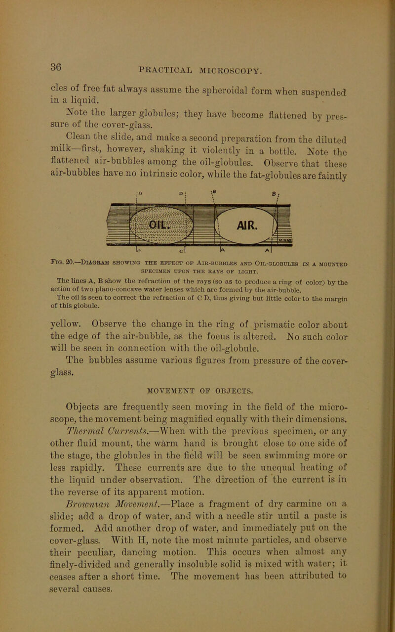 cles of free fat always assume the spheroidal form when suspended in a liquid. Note the larger globules; they have become flattened by pres- sure of the cover-glass. Clean the slide, and make a second preparation from the diluted milk—first, however, shaking it violently in a bottle. Note the flattened air-bubbles among the oil-globules. Observe that these air-bubbles have no intrinsic color, while the fat-globules are faintly Fig. 20—Diagram showing the effect of Air-bubbles and Oil-globules in a mounted SPECIMEN UPON THE RAYS OF LIGHT. The lines A, B show the refraction of the rays (so as to produce a ring of color) by the action of two plano-concave water lenses which are formed by the air-bubble. The oil is seen to correct the refraction of C D, thus giving but little color to the margin of this globule. yellow. Observe the change in the ring of prismatic color about the edge of the air-bubble, as the focus is altered. No such color will be seen in connection with the oil-globule. The bubbles assume various figures from pressure of the cover- glass. MOVEMENT OF OBJECTS. Objects are frequently seen moving in the field of the micro- scope, the movement being magnified equally with their dimensions. Thermal Currents.—When with the previous specimen, or any other fluid mount, the warm hand is brought close to one side of the stage, the globules in the field will be seen swimming more or less rapidly. These currents are due to the unequal heating of the liquid under observation. The direction of the current is in the reverse of its apparent motion. Brownian Movement.—Place a fragment of dry carmine on a slide; add a drop of water, and with a needle stir until a paste is formed. Add another drop of water, and immediately put on the cover-glass. With H, note the most minute particles, and observe their peculiar, dancing motion. This occurs when almost any finely-divided and generally insoluble solid is mixed with water; it ceases after a short time. The movement has been attributed to several causes.