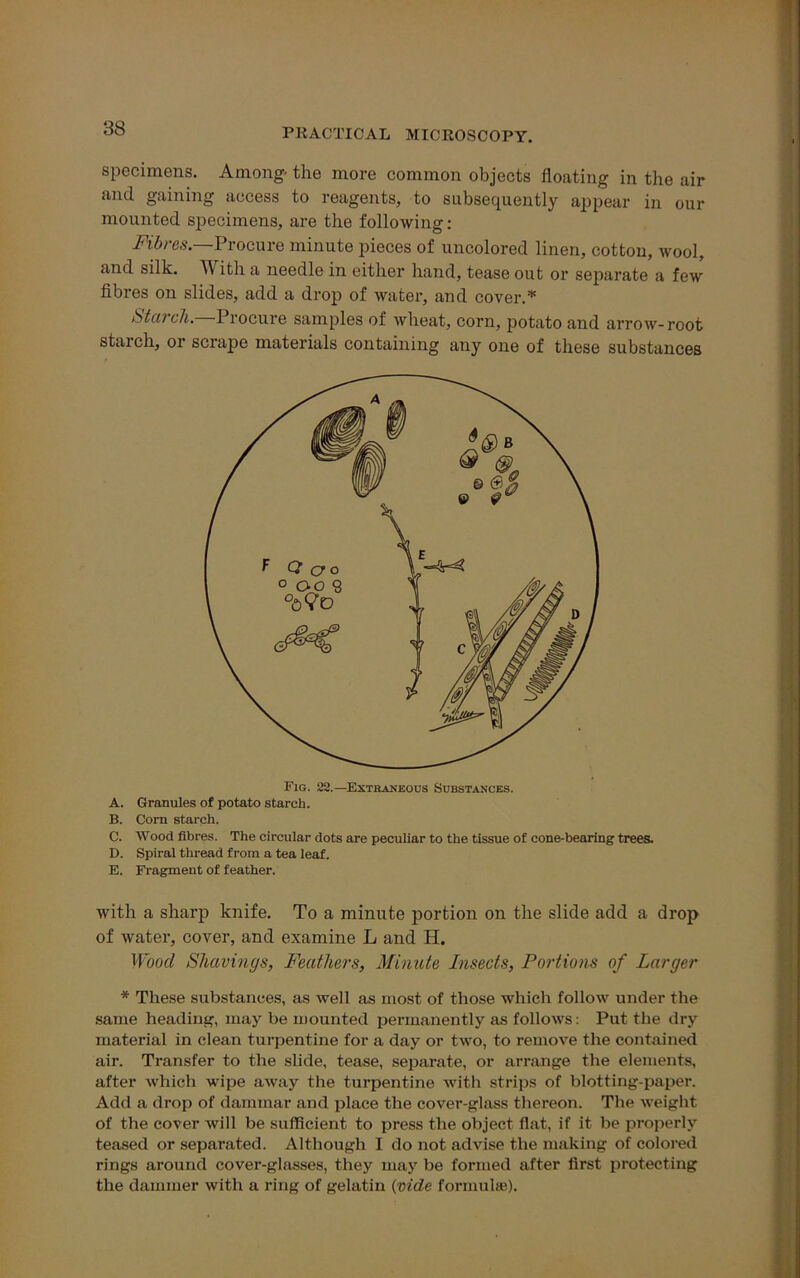 specimens. Among- the more common objects floating in the air and gaining access to reagents, to subsequently appear in our mounted specimens, are the following: Fibres.—Procure minute pieces of uncolored linen, cotton, wool, and silk. With a needle in either hand, tease out or separate a few fibres on slides, add a drop of water, and cover.* Starch. Procure samples of wheat, corn, potato and arrow-root starch, or scrape materials containing any one of these substances Fig. 22.—Extraneous Substances. A. Granules of potato starch. B. Com starch. C. Wood fibres. The circular dots are peculiar to the tissue of cone-bearing trees. D. Spiral thread from a tea leaf. E. Fragment of feather. with a sharp knife. To a minute portion on the slide add a drop of water, cover, and examine L and H. Wood Shavings, Feathers, Minute Insects, Portions of Larger * These substances, as well as most of those which follow under the same heading, may be mounted permanently as follows: Put the dry material in clean turpentine for a day or two, to remove the contained air. Transfer to the slide, tease, separate, or arrange the elements, after which wipe away the turpentine with strips of blotting-paper. Add a drop of dammar and place the cover-glass thereon. The weight of the cover will be sufficient to press the object flat, if it be properly teased or separated. Although I do not advise the making of colored rings around cover-glasses, they may be formed after first protecting the dainmer with a ring of gelatin (vide formulae).
