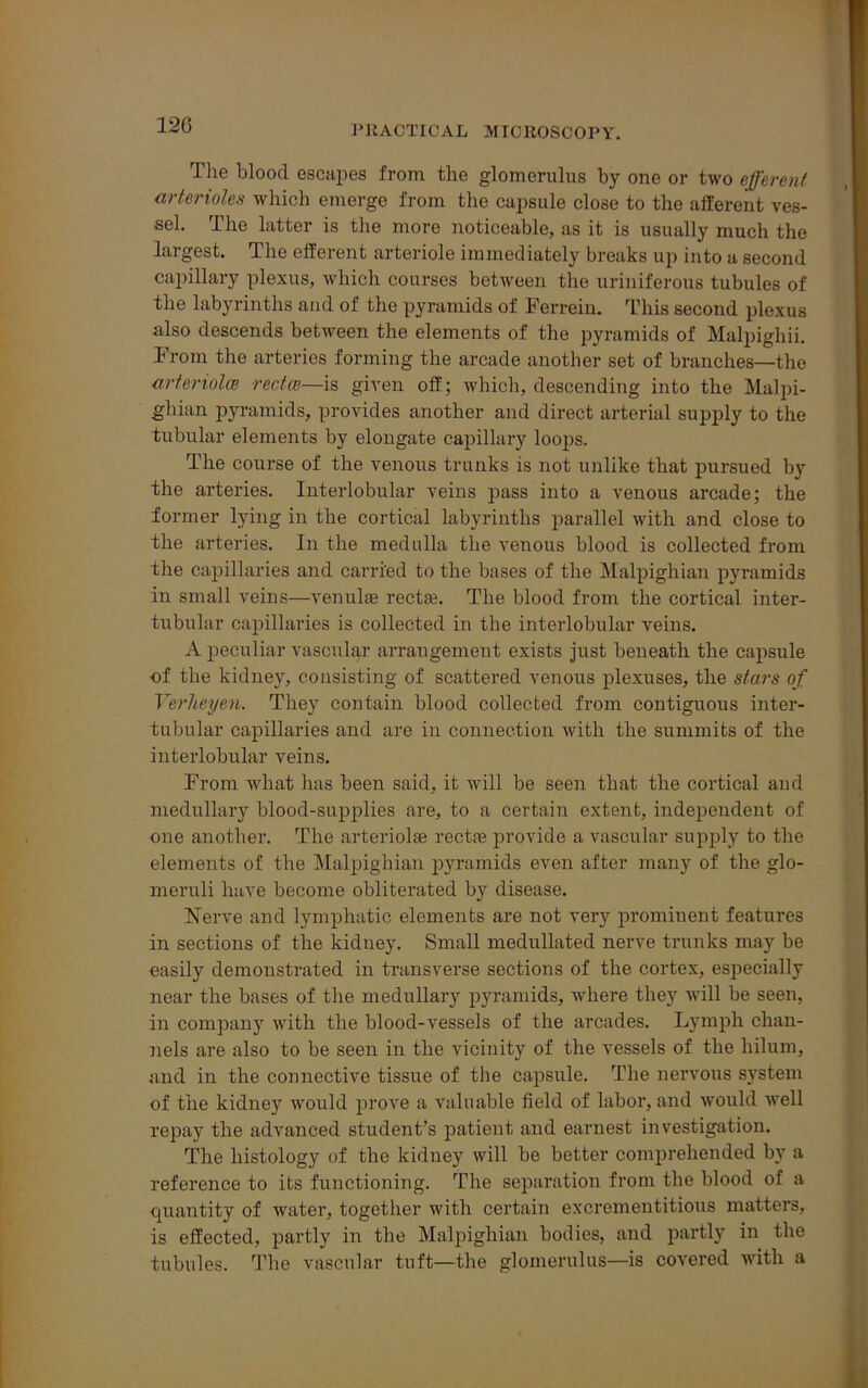 The blood escapes from the glomerulus by one or two efferent arterioles which emerge from the capsule close to the afferent ves- sel. The latter is the more noticeable, as it is usually much the largest. The efferent arteriole immediately breaks up into a second capillary plexus, which courses between the uriniferous tubules of the labyrinths and of the pyramids of Ferrein. This second plexus also descends between the elements of the pyramids of Malpighii. From the arteries forming the arcade another set of branches—the arteriolce rectm—is given off; which, descending into the Malpi- ghian pyramids, provides another and direct arterial supply to the tubular elements by elongate capillary loops. The course of the venous trunks is not unlike that pursued by the arteries. Interlobular veins pass into a venous arcade; the former lying in the cortical labyrinths parallel with and close to the arteries. In the medulla the venous blood is collected from the capillaries and carried to the bases of the Malpighian pyramids in small veins—venulse rectse. The blood from the cortical inter- tubular capillaries is collected in the interlobular veins. A peculiar vascular arrangement exists just beneath the capsule of the kidney, consisting of scattered venous plexuses, the stars of Yerheyen. They contain blood collected from contiguous inter- tubular capillaries and are in connection with the summits of the interlobular veins. From what has been said, it will be seen that the cortical and medullary blood-supplies are, to a certain extent, independent of one another. The arteriolae rectee provide a vascular supply to the elements of the Malpighian pyramids even after many of the glo- meruli have become obliterated by disease. Nerve and lymphatic elements are not very prominent features in sections of the kidney. Small medullated nerve trunks may be easily demonstrated in transverse sections of the cortex, especially near the bases of the medullary pyramids, where they will be seen, in company with the blood-vessels of the arcades. Lymph chan- nels are also to be seen in the vicinity of the vessels of the hilum, and in the connective tissue of the capsule. The nervous system of the kidney would prove a valuable field of labor, and would well repay the advanced student’s patient and earnest investigation. The histology of the kidney will be better comprehended by a reference to its functioning. The separation from the blood of a quantity of water, together with certain excrementitious matters, is effected, partly in the Malpighian bodies, and partly in the tubules. The vascular tuft—the glomerulus—is covered with a