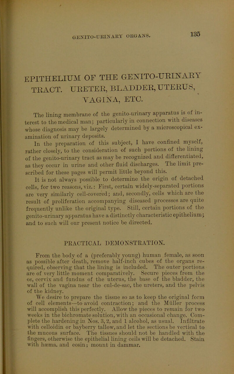 genitourinary organs. EPITHELIUM OF THE GEUITO-URIHARY TRACT. URETER, BLADDER, UTERUS, VAGIYA, ETC. The lining membrane of the genito-nrinary apparatus is of in- terest to the medical man; particularly in connection with diseases whose diagnosis may he largely determined by a microscopical ex- amination of urinary deposits. In the preparation of this subject, I have confined myself, rather closely, to the consideration of such portions of the lining of the genito-urinary tract as may be recognized and differentiated, as they occur in urine and other fluid discharges. The limit pre- scribed for these pages will permit little beyond this. It is not always possible to determine the origin of detached cells, for two reasons, viz.: First, certain widely-separated portions are very similarly cell-covered; and, secondly, cells which are the result of proliferation accompanying diseased processes are quite frequently unlike the original type. Still, certain portions of the genito-urinary apparatus have a distinctly characteristic epithelium; and to such will our present notice be directed. PRACTICAL DEMONSTRATION. From the body of a (preferably young) human female, as soon as possible after death, remove half-inch cubes of the organs re- quired, observing that the lining is included. The outer portions are of very little moment comparatively. Secure pieces from the os, cervix and fundus of the uterus, the base of the bladder, the wall of the vagina near the cul-de-sac, the ureters, and the pelvis of the kidney. We desire to prepare the tissue so as to keep the original form of cell elements—to avoid contraction; and the Muller process will accomplish this perfectly. Allow the pieces to remain for two weeks in the bichromate solution, with an occasional change. Com- plete the hardening in Nos. 3, 2, and 1 alcohol, as usual. Infiltrate with celloidin or bayberry tallow, and let the sections be vertical to the mucous surface. The tissues should not be handled with the fingers, otherwise the epithelial lining ceils will be detached. Stain with haema. and eosin; mount in dammar.