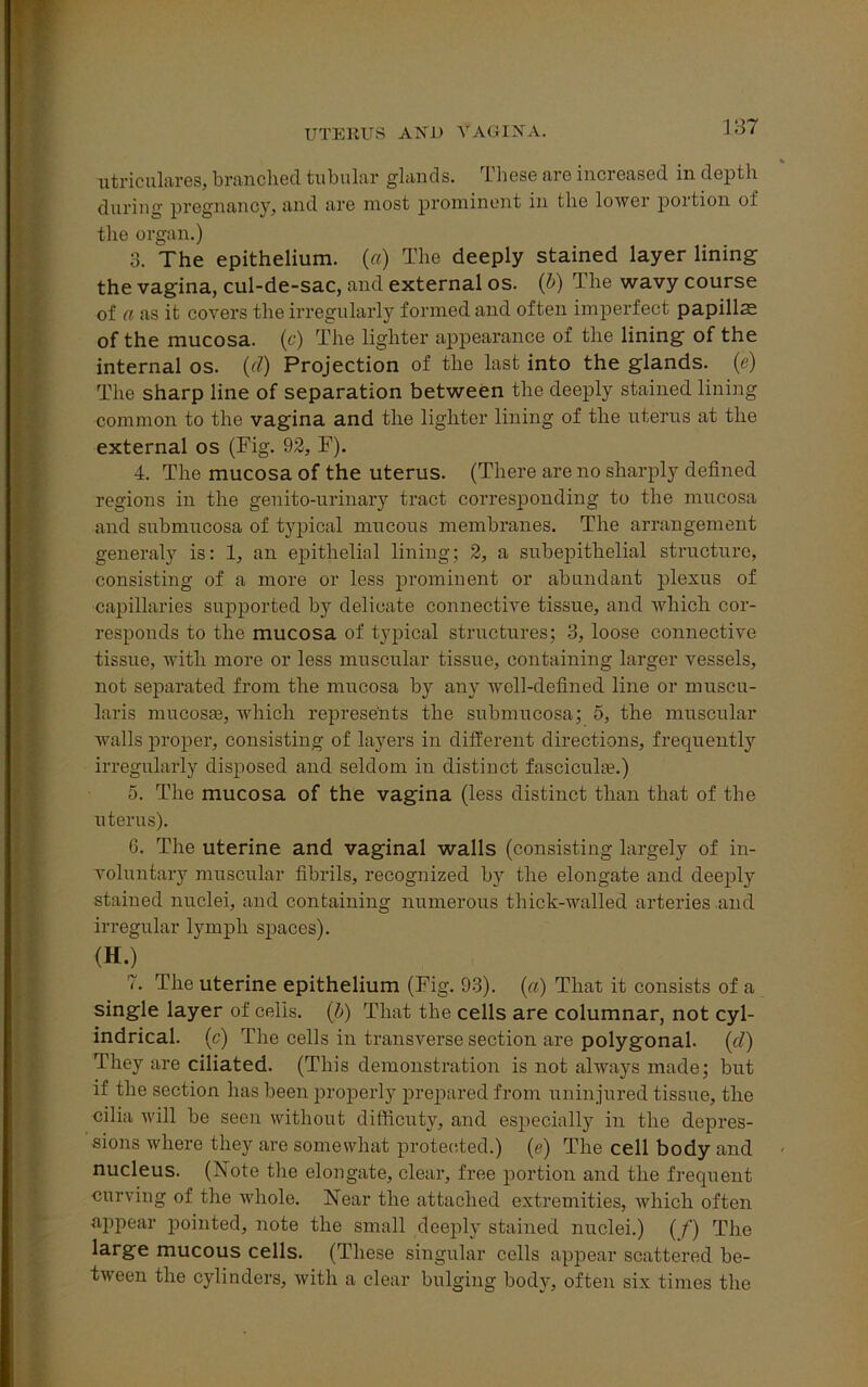 UTERUS AND VAGINA. utriculares, branched tubular glands. These are increased in depth during pregnancy, and are most prominent in the lower portion of the organ.) 3. The epithelium. («) The deeply stained layer lining; the vagina, cul-de-sac, and external os. (&) The wavy course of a as it covers the irregularly formed and often imperfect papillae of the mucosa, (c) The lighter appearance of the lining of the internal os. (d) Projection of the last into the glands, (e) The sharp line of separation between the deeply stained lining common to the vagina and the lighter lining of the uterus at the external os (Fig. 92, F). 4. The mucosa of the uterus. (There are no sharply defined regions in the genito-urinary tract corresponding to the mucosa and submucosa of typical mucous membranes. The arrangement generaly is: 1, an epithelial lining; 2, a subepitlielial structure, consisting of a more or less prominent or abundant plexus of capillaries supported by delicate connective tissue, and which cor- responds to the mucosa of typical structures; 3, loose connective tissue, with more or less muscular tissue, containing larger vessels, not separated from the mucosa by any well-defined line or muscu- laris mucosae, which represents the submucosa; 5, the muscular walls proper, consisting of layers in different directions, frecpiently irregularly disposed and seldom in distinct fasciculae.) 5. The mucosa of the vagina (less distinct than that of the uterus). G. The uterine and vaginal walls (consisting largely of in- voluntary muscular fibrils, recognized by the elongate and deeply stained nuclei, and containing numerous thick-walled arteries and irregular lymph spaces). <H.) 7. The uterine epithelium (Fig. 93). (a) That it consists of a single layer of cells, (b) That the cells are columnar, not cyl- indrical. (c) The cells in transverse section are polygonal. (cl) They are ciliated. (This demonstration is not always made; but if the section has been properly prepared from uninjured tissue, the cilia will be seen without difficuty, and especially in the depres- sions where they are somewhat protected.) (e) The cell body and nucleus. (Note the elongate, clear, free portion and the frequent curving of the whole. Near the attached extremities, which often appear pointed, note the small deeply stained nuclei.) (f) The large mucous cells. (These singular cells appear scattered be- tween the cylinders, with a clear bulging body, often six times the