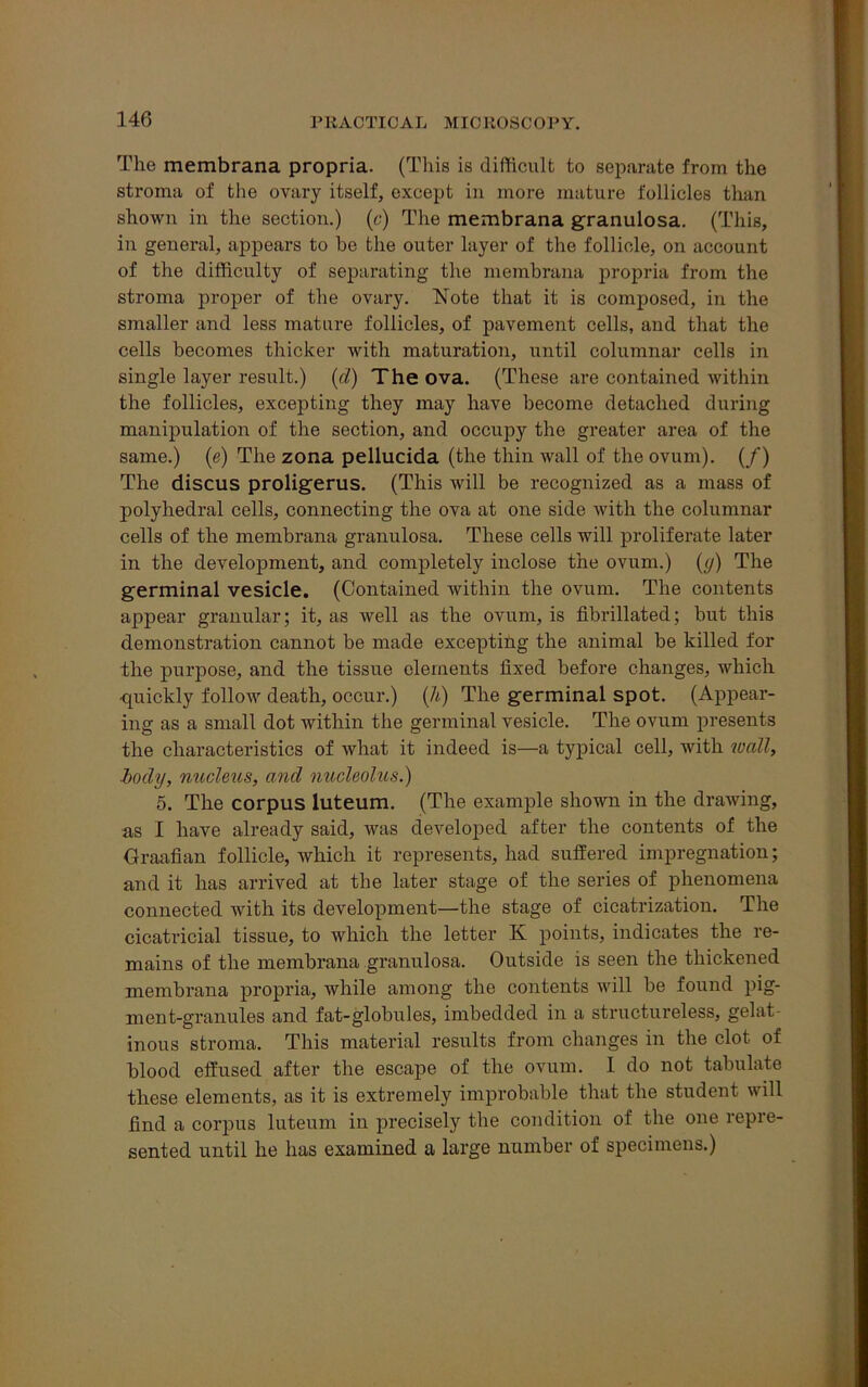 The membrana propria. (This is difficult to separate from the stroma of the ovary itself, except in more mature follicles than shown in the section.) (c) The membrana granulosa. (This, in general, appears to be the outer layer of the follicle, on account of the difficulty of separating the membrana propria from the stroma proper of the ovary. Note that it is composed, in the smaller and less mature follicles, of pavement cells, and that the cells becomes thicker with maturation, until columnar cells in single layer result.) (d) The ova. (These are contained within the follicles, excepting they may have become detached during manipulation of the section, and occupy the greater area of the same.) (e) The zona pellucida (the thin wall of the ovum). (/) The discus proligerus. (This will be recognized as a mass of polyhedral cells, connecting the ova at one side with the columnar cells of the membrana granulosa. These cells will proliferate later in the development, and completely inclose the ovum.) (y) The germinal vesicle. (Contained within the ovum. The contents appear granular; it, as well as the ovum, is fibrillated; but this demonstration cannot be made excepting the animal be killed for the purpose, and the tissue elements lixed before changes, which ■quickly follow death, occur.) (h) The germinal spot. (Appear- ing as a small dot within the germinal vesicle. The ovum presents the characteristics of what it indeed is—a typical cell, with wall, body, nucleus, and nucleolus.) 5. The corpus luteum. (The example shown in the drawing, as I have already said, was developed after the contents of the Graafian follicle, which it represents, had suffered impregnation; and it has arrived at the later stage of the series of phenomena connected with its development—the stage of cicatrization. The cicatricial tissue, to which the letter K points, indicates the re- mains of the membrana granulosa. Outside is seen the thickened membrana propria, while among the contents will be found pig- ment-granules and fat-globules, imbedded in a structureless, gelat- inous stroma. This material results from changes in the clot of blood effused after the escape of the ovum. I do not tabulate these elements, as it is extremely improbable that the student will find a corpus luteum in precisely the condition of the one repre- sented until he has examined a large number of specimens.)