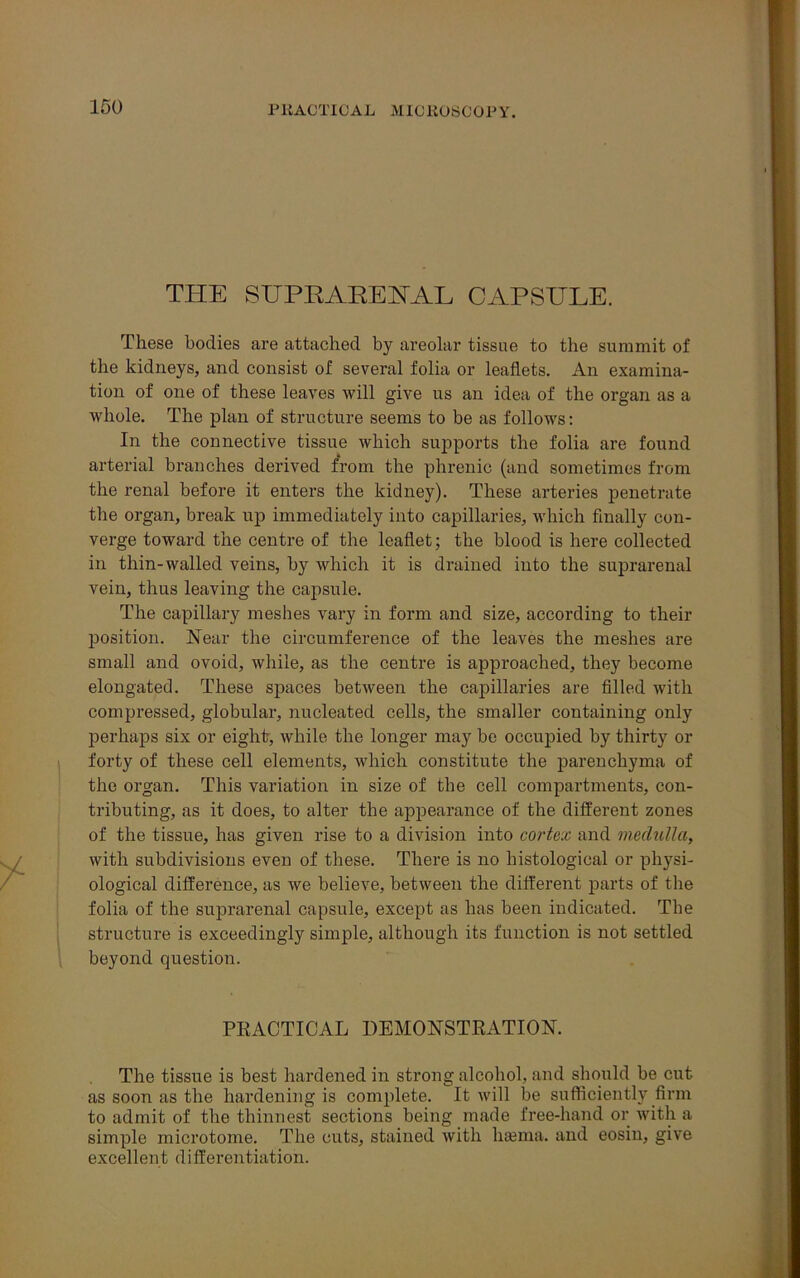 THE SUPEAEEUAL CAPSULE. These bodies are attached by areolar tissue to the summit of the kidneys, and consist of several folia or leaflets. An examina- tion of one of these leaves will give us an idea of the organ as a whole. The plan of structure seems to be as follows: In the connective tissue which supports the folia are found arterial branches derived from the phrenic (and sometimes from the renal before it enters the kidney). These arteries penetrate the organ, break up immediately into capillaries, which finally con- verge toward the centre of the leaflet; the blood is here collected in thin-walled veins, by which it is drained into the suprarenal vein, thus leaving the capsule. The capillary meshes vary in form and size, according to their position. Near the circumference of the leaves the meshes are small and ovoid, while, as the centre is approached, they become elongated. These spaces between the capillaries are filled with compressed, globular, nucleated cells, the smaller containing only perhaps six or eight, while the longer may be occupied by thirty or forty of these cell elements, which constitute the parenchyma of the organ. This variation in size of the cell compartments, con- tributing, as it does, to alter the appearance of the different zones of the tissue, has given rise to a division into cortex and medulla, with subdivisions even of these. There is no histological or physi- ological difference, as we believe, between the different parts of the folia of the suprarenal capsule, except as has been indicated. The structure is exceedingly simple, although its function is not settled beyond question. PRACTICAL DEMONSTRATION. The tissue is best hardened in strong alcohol, and should be cut as soon as the hardening is complete. It will be sufficiently firm to admit of the thinnest sections being made free-hand or with a simple microtome. The cuts, stained with hsema. and eosin, give excellent differentiation.