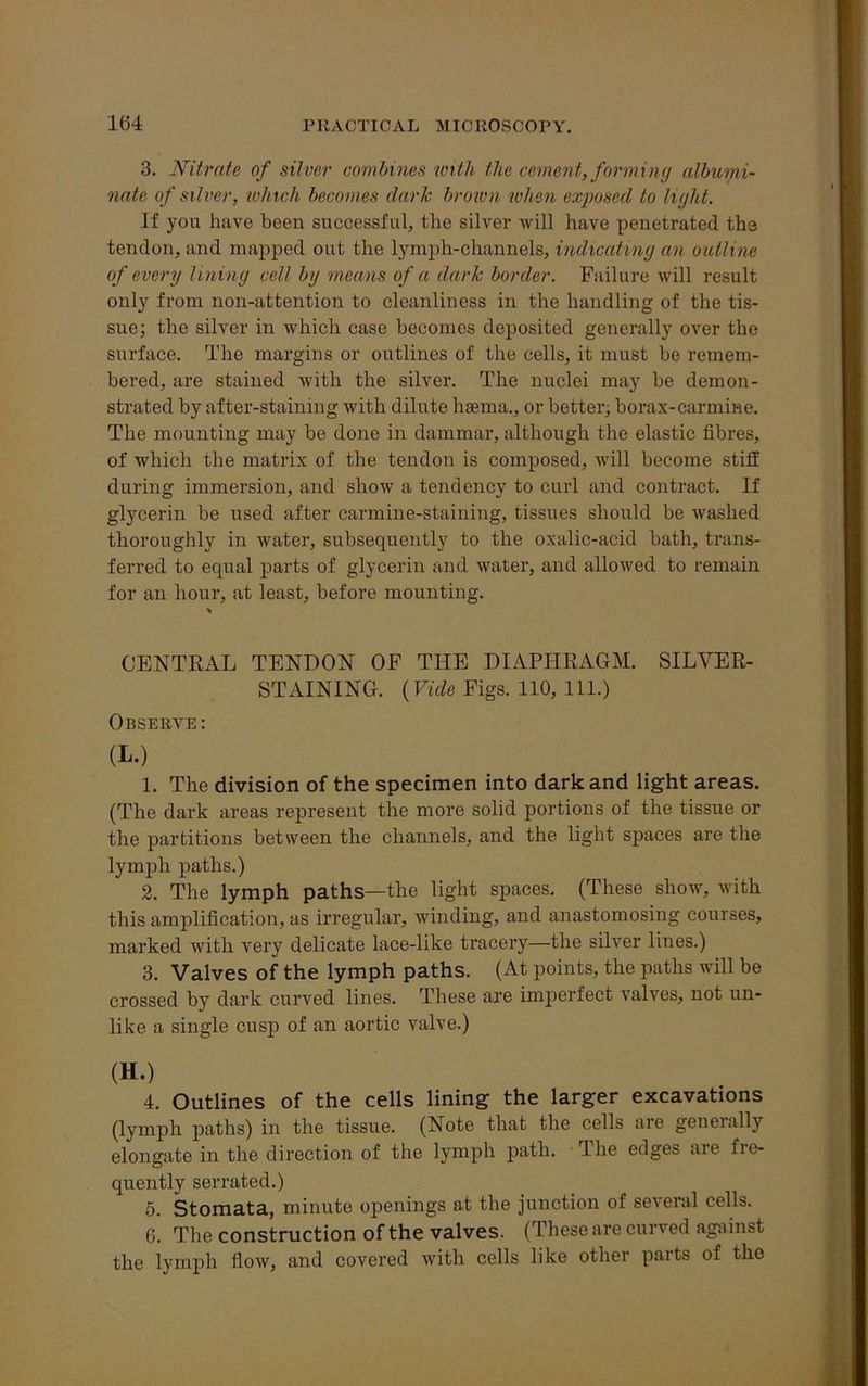 3. Nitrate of silver combines with the cement, for min y albumi- nate of silver, which becomes dark brown when exposed to light. If you have been successful, the silver will have penetrated the tendon, and mapped out the lymph-channels, indicating an outline of every lining cell by means of a dark border. Failure will result only from non-attention to cleanliness in the handling of the tis- sue; the silver in which case becomes deposited generally over the surface. The margins or outlines of the cells, it must be remem- bered, are stained with the silver. The nuclei may be demon- strated by after-staining with dilute haema., or better; borax-carmine. The mounting may be done in dammar, although the elastic fibres, of which the matrix of the tendon is composed, will become stiff during immersion, and show a tendency to curl and contract. If glycerin be used after carmine-staining, tissues should be Avashed thoroughly in Avater, subsequently to the oxalic-acid bath, trans- ferred to equal parts of glycerin and Avater, and allowed to remain for an hour, at least, before mounting. CENTRAL TENDON OF THE DIAPHRAGM. SILVER- STAINING. (Vide Figs. 110, 111.) Observe: (L.) 1. The division of the specimen into dark and light areas. (The dark areas represent the more solid portions of the tissue or the partitions between the channels, and the light spaces are the lymph paths.) 2. The lymph paths—the light spaces. (These show, with this amplification, as irregular, winding, and anastomosing courses, marked Avith very delicate lace-like tracery—the silver lines.) 3. Valves of the lymph paths. (At points, the paths will be crossed by dark curved lines. These are imperfect valves, not un- like a single cusp of an aortic valve.) (H.) 4. Outlines of the cells lining the larger excavations (lymph paths) in the tissue. (Note that the cells are generally elongate in the direction of the lymph path. The edges are fre- quently serrated.) 5. Stomata, minute openings at the junction of several cells. 6. The construction of the valves. (These are curved against the lymph floAV, and covered Avith cells like other parts of the