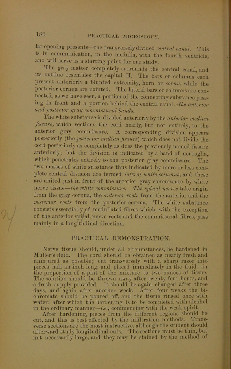 lar opening presents—the transversely divided central canal. This is in communication, in the medulla, with the fourth ventricle, and will serve as a starting-point for our study. The gray matter completely surrounds the central canal, and its outline resembles the capital IT. The bars or columns each present anteriorly a blunted extremity, horn or cornu, while the posterior cornua are pointed. The lateral bars or columns are con- nected, as we have seen, a portion of the connecting substance pass- ing in front and a portion behind the central canal-^/ifl anterior and posterior gray commissural bands. The white substance is divided anteriorly by the anterior median fissure, which sections the cord nearly, but not entirely, to the anterior gray commissure. A corresponding division appears posteriorly (the posterior median fissure) which does not divide the cord posteriorly as completely as does the previously-named fissure anteriorly; but the division is indicated by a band of neuroglia, which penetrates entirely to the posterior gray commissure. The two masses of white substance thus indicated by more or less com- plete central division are termed lateral white columns, and these are united just in front of the anterior gray commissure by white nerve tissue—the white commissure. The spinal nerves take origin from the gray cornua, the anterior roots from the anterior and the posterior roots from the posterior cornua. The white substance consists essentially of medullated fibres which, with the exception of the anterior spiral nerve roots and the commissural fibres, pass, mainly in a longitudinal direction. PRACTICAL DEMONSTRATION. Nerve tissue should, under all circumstances, be hardened in Muller’s fluid. The cord should be obtained as nearly fresh and uninjured as possible; cut transversely with a sharp razor inte pieces half an inch long, and placed immediately in the fluid—in the proportion of a pint of the mixture to two ounces of tissue. The solution should be thrown away after twenty-four hours, and a fresh supply provided. It should be again changed after three days, and again after another week. After four weeks the bi- chromate should be poured off, and the tissue rinsed once with water; after which the hardening is to be completed with alcohol in the ordinary manner—i.e., commencing with the weak spirit. After hardening, pieces from the different regions should be cut, and this is best effected by the infiltration methods. Trans- verse sections are the most instructive, although the student should afterward study longitudinal cuts. The sections must be thin, but not necessarily large, and they may be stained by the method of