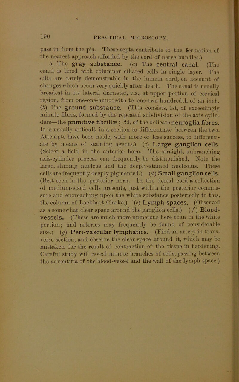 I ’ KACTIC A L MIO ROSCO 1> Y. pass in from the pia. These septa contribute to the formation of the nearest approach afforded by the cord of nerve bundles.) 5. The gray substance, (a) The central canal. (The canal is lined with columnar ciliated cells in single layer. The cilia are rarely demonstrable in the human cord, on account of changes which occur very quickly after death. The canal is usually broadest in its lateral diameter, viz., at upper portion of cervical region, from one-one-hundredtli to one-two-hundredth of an inch. (l>) The ground substance. (This consists, 1st, of exceedingly minute fibres, formed by the repeated subdivision of the axis cylin- ders—the primitive fibrillae ; 2d, of the delicate neuroglia fibres. It is usually difficult in a section to differentiate between the two. Attempts have been made, with more or less success, to differenti- ate by means of staining agents.) (c) Large ganglion cells. (Select a field in the anterior horn. The straight, unbranching axis-cylinder process can frequently be distinguished. Note the large, shining nucleus and the deeply-stained nucleolus. These cells are frequently deeply pigmented.) (cl) Small ganglion cells. (Best seen in the posterior horn. In the dorsal cord a collection of medium-sized cells presents, just within the posterior commis- sure and encroaching upon the white substance posteriorly to this, the column of Lockhart Clarke.) (e) Lymph spaces. (Observed as a somewhat clear space around the ganglion cells.) (/) Blood- vessels. (These are much more numerous here than in the white portion; and arteries may frequently be found of considerable size.) (g) Peri-vascular lymphatics. (Find an artery in trans- verse section, and observe the clear space around it, which may be mistaken for the result of contraction of the tissue in hardening. Careful study will reveal minute branches of cells, passing between the adventitia of the blood-vessel and the wall of the lymph space.)