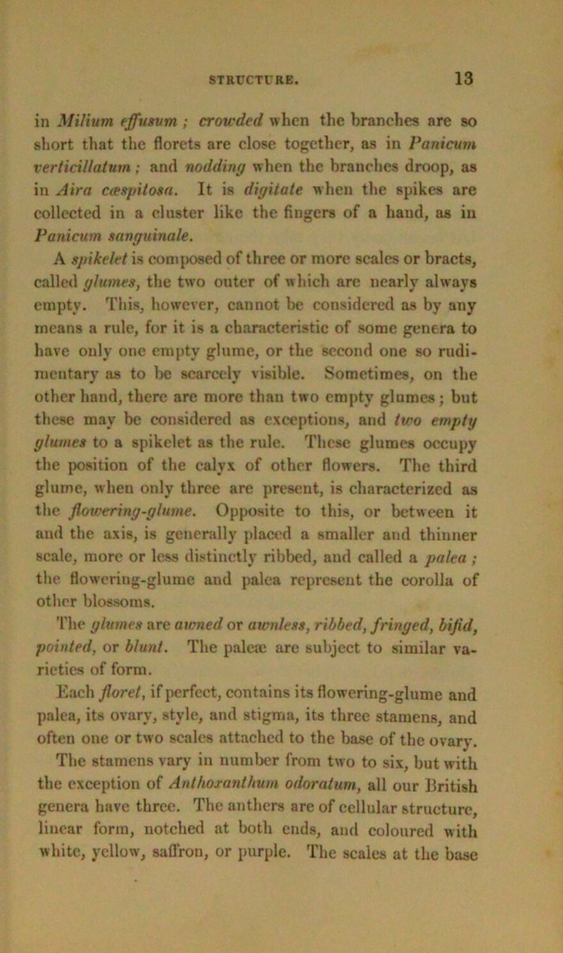 in Milium effusvm ; crowded when the branches are so short that the florets are close together, as in Panicum verticillatum; and nodding when the branches droop, as in Aira ceespitosa. It is digitate when the spikes are collected in a cluster like the fingers of a hand, as in Panicum sunguinule. A sjnkelet is composed of three or more scales or bracts, called glumes, the two outer of which are nearly always empty. This, however, cannot be considered as by any means a rule, for it is a characteristic of some genera to have only one empty glume, or the second one so rudi- mentary as to be scarcely visible. Sometimes, on the other hand, there are more than two empty glumes; but these may be considered as exceptions, and tiro empty glumes to a spikelet as the rule. These glumes occupy the position of the calyx of other flowers. The third glume, when only three are present, is characterized as the flowering-glume. Opposite to this, or between it and the axis, is generally placed a smaller and thinner scale, more or less distinctly ribbed, and called a palea ; the flowering-glume and palea represent the corolla of other blossoms. The glumes are owned or awnless, ribbed, fringed, bifid, pointed, or blunt. The pale® arc subject to similar va- rieties of form. Each floret, if perfect, contains its flowering-glume and palea, its ovary, style, and stigma, its three stamens, and often one or two scales attached to the base of the ovary. The stamens vary in number from two to six, but with the exception of Anthoxanthurn odoralum, all our British genera have three. The anthers are of cellular structure, linear form, notched at both ends, and coloured with white, yellow, saffron, or purple. The scales at the base