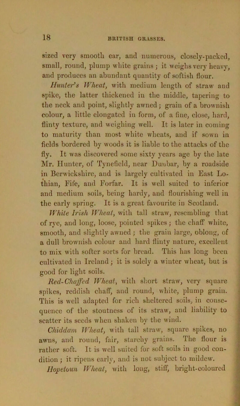 sized very smooth ear, and numerous, closely-packcd, small, round, plump white grains; it weighs very heavy, and produces an abundant quantity of softish flour. Hunter’s Wheat, with medium length of straw and spike, the latter thickened in the middle, tapering to the neck and point, slightly awned ; grain of a brownish colour, a little elongated in form, of a fine, close, hard, flinty texture, and weighing well. It is later in coming to maturity than most white wheats, and if sown in fields bordered by woods it is liable to the attacks of the fly. It was discovered some sixty years age by the late Mr. Hunter, of Tynefield, near Dunbar, by a roadside in Berwickshire, and is largely cultivated in East Lo- thian, Fife, and Forfar. It is well suited to inferior and medium soils, being hardy, and flourishing well in the early spring. It is a great favourite in Scotland. White Irish Wheat, with tall straw, resembling that of rye, and long, loose, pointed spikes; the chaff white, smooth, and slightly awned ; the grain large, oblong, of a dull brownish colour and hard flinty nature, excellent to mix with softer sorts for bread. This has long been cultivated in Ireland ; it is solely a winter wheat, but is good for light soils. Red-Chaffed Wheat, with short straw, very square spikes, reddish chaff, and round, white, plump grain. This is well adapted for rich sheltered soils, in conse- quence of the stoutness of its straw, and liability to scatter its seeds when shaken by the wind. Chiddam Wheat, with tall straw, square spikes, no awns, and round, fair, starchy grains. The flour is rather soft. It is well suited for soft soils in good con- dition ; it ripens early, and is not subject to mildew. Hojietoun Wheat, with long, stiff, bright-coloured