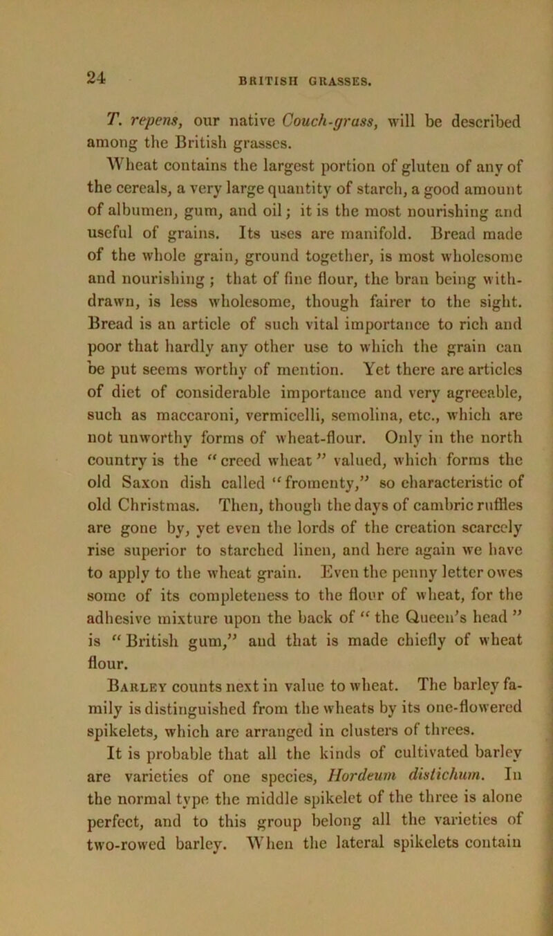 T. repens, our native Couch-grass, will be described among the British grasses. Wheat contains the largest portion of gluten of any of the cereals, a very large quantity of starch, a good amount of albumen, gum, and oil; it is the most nourishing and useful of grains. Its uses are manifold. Bread made of the whole grain, ground together, is most wholesome and nourishing ; that of fine flour, the bran being with- drawn, is less wholesome, though fairer to the sight. Bread is an article of such vital importance to rich and poor that hardly any other use to which the grain can be put seems worthy of mention. Yet there are articles of diet of considerable importance and very agreeable, such as maccaroni, vermicelli, semolina, etc., which are not unworthy forms of wheat-flour. Only in the north country is the “creed wheat” valued, which forms the old Saxon dish called “fromenty,” so characteristic of old Christmas. Then, though the days of cambric ruffles are gone by, yet even the lords of the creation scarcely rise superior to starched linen, and here again we have to apply to the wheat grain. Even the penny letter owes some of its completeness to the flour of wheat, for the adhesive mixture upon the back of “ the Queen’s head ” is “ British gum,” and that is made chiefly of wheat flour. Barley counts next in value to wheat. The barley fa- mily is distinguished from the wheats by its one-flowered spikelets, which are arranged in clusters of threes. It is probable that all the kinds of cultivated barley are varieties of one species, Hordeum distichum. In the normal type the middle spikelet of the three is alone perfect, and to this group belong all the varieties of two-rowed barley. When the lateral spikelets contain