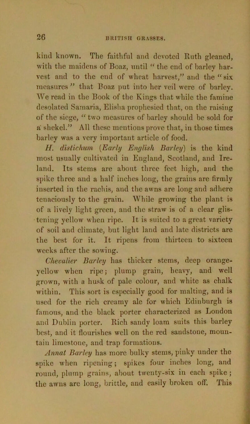kind known. The faithful and devoted Ruth gleaned, with the maidens of Boaz, until “ the end of barley har- vest and to the end of wheat harvest,” and the “six measures ” that Boaz put into her veil were of barley. We read in the Book of the Kings that while the famine desolated Samaria, Elisha prophesied that, on the raising of the siege, “ two measures of barley should be sold for a shekel.” All these mentions prove that, in those times barley was a very important article of food. H. distir hum (Early English Barley) is the kind most usually cultivated in England, Scotland, and Ire- land. Its stems are about three feet high, and the spike three and a half inches long, the grains are firmly inserted in the rachis, and the awns are long and adhere tenaciously to the grain. While growing the plant is of a lively light green, and the straw' is of a clear glis- tening yellow when ripe. It is suited to a great variety of soil and climate, hut light land and late districts are the best for it. It ripens from thirteen to sixteen weeks after the sowing. Chevalier Barley has thicker stems, deep orange- yellow when ripe; plump grain, heavy, and well grown, with a husk of pale colour, and white as chalk within. This sort is especially good for malting, and is used for the rich creamy ale for which Edinburgh is famous, and the black porter characterized as London and Dublin porter. Rich sandy loam suits this barley best, and it flourishes well on the red sandstone, moun- tain limestone, and trap formations. Annat Burley has more bulky stems, pinky under the spike when ripening; spikes four inches long, and round, plump grains, about twenty-six in each spike ; the awms arc long, brittle, and easily broken off. This
