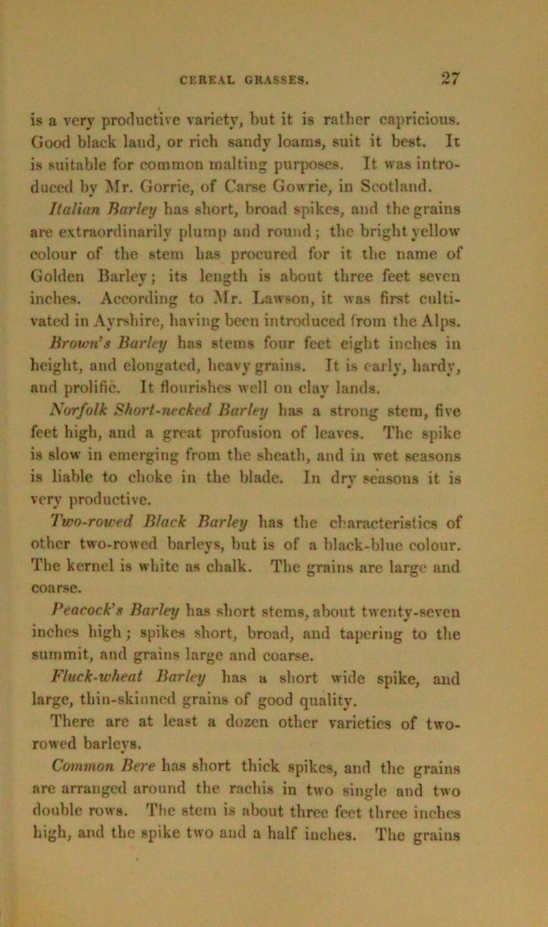 is a very productive variety, but it is rather capricious. Good black land, or rich sandy loams, suit it best. It is suitable for common malting purposes. It was intro- duced by Mr. Gorrie, of Carse Gowrie, in Scotland. Italian Barley has short, broad spikes, and the grains are extraordinarily plump and round; the bright yellow colour of the stem has procured for it the name of Golden Barley; its length is about three feet seven inches. According to Mr. Lawson, it was first culti- vated in Ayrshire, having been introduced from the Alps. Brown’s Barley has stems four feet eight inches in height, and elongated, heavy grains. It is early, hardy, and prolific. It flourishes well on clay lands. Norfolk Short-necked Barley has a strong stem, five feet high, and a great profusion of leaves. The spike is slow in emerging from the sheath, and in wet seasons is liable to choke in the blade. In dry seasous it is very productive. Two-rowed Black Barley has the characteristics of other two-rowed barleys, but is of a black-blue colour. The kernel is white as chalk. The grains are large and coarse. Peacock's Barley has short stems, about twenty-seven inches high; spikes short, broad, and tapering to the summit, and grains large and coarse. Fluck-wheut Barley has a short wide spike, and large, thin-skinned grains of good quality. There are at least a dozen other varieties of two- rowed barleys. Common Bere has short thick spikes, and the grains are arranged around the rachis in two single and two double rows. The stem is about three feet three inches high, and the spike two and a half inches. The grains
