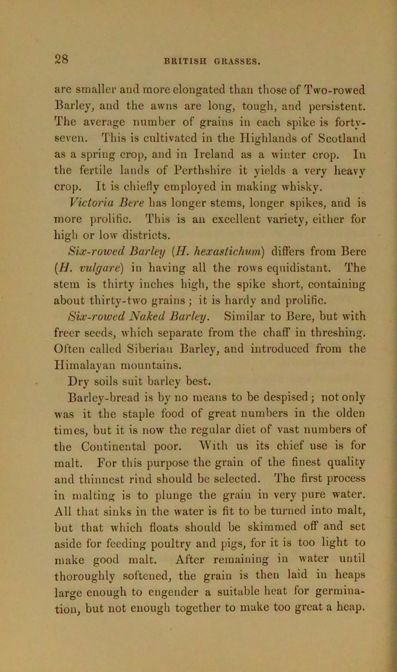 are smaller and more elongated than those of Two-rowed Barley, and the awns are long, tough, and persistent. The average number of grains in each spike is forty- seven. This is cultivated in the Highlands of Scotland as a spring crop, and in Ireland as a winter crop. In the fertile lands of Perthshire it yields a very heavy crop. It is chiefly employed in making whisky. Victoria Bare has longer stems, longer spikes, and is more prolific. This is an excellent variety, either for high or low districts. Six-rowed Barley (H. hexastichum) differs from Bere [H. vulgare) in having all the rows equidistant. The stem is thirty inches high, the spike short, containing about thirty-two grains ; it is hardy and prolific. Six-rowed Naked Barley. Similar to Bere, but with freer seeds, which separate from the chaff' in threshing. Often called Siberian Barley, and introduced from the Himalayan mountains. Dry soils suit barley best. Barley-bread is by no means to be despised ; not only was it the staple food of great numbers in the olden times, but it is now the regular diet of vast numbers of the Continental poor. With us its chief use is for malt. For this purpose the grain of the finest quality and thinnest rind should be selected. The first process in malting is to plunge the grain in very pure water. All that sinks in the water is fit to be turned into malt, but that which floats should be skimmed off and set aside for feeding poultry and pigs, for it is too light to make good malt. After remaining in water until thoroughly softened, the grain is then laid in heaps large enough to engender a suitable heat for germina- tion, but not enough together to make too great a heap.