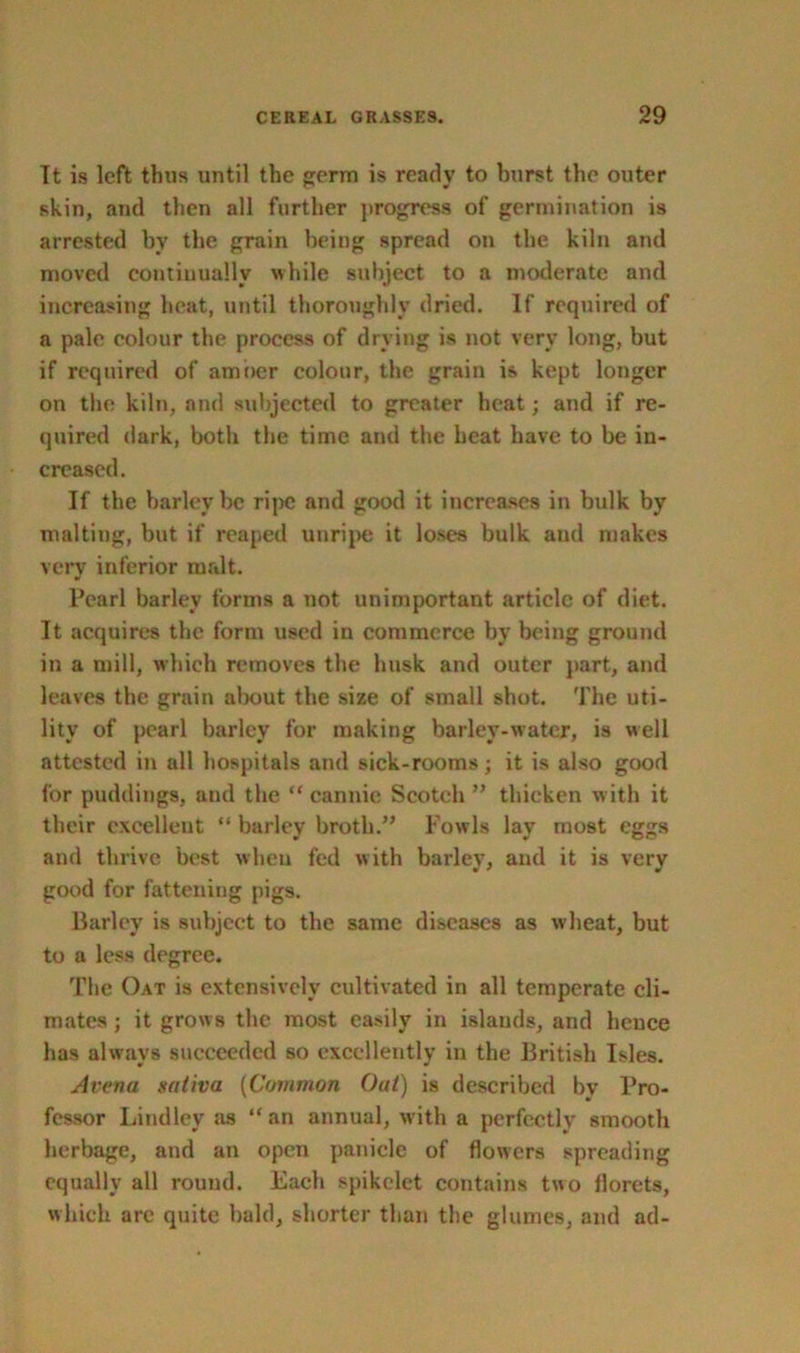 It is left thus until the germ is ready to hurst the outer skin, and then all further progress of germination is arrested by the grain being spread on the kiln and moved continually while subject to a moderate and increasing heat, until thoroughly dried. If required of a pale colour the process of drying is not very long, but if required of amber colour, the grain is kept longer on the kiln, and subjected to greater heat; and if re- quired dark, both the time and the heat have to be in- creased. If the barley be ripe and good it increases in bulk by malting, but if reaped unripe it loses bulk and makes very inferior malt. Pearl barley forms a not unimportant article of diet. It acquires the form used in commerce by being ground in a mill, which removes the husk and outer part, and leaves the grain about the size of small shot. The uti- lity of pearl barley for making barley-water, is well attested in all hospitals and sick-rooms; it is also good for puddings, and the “ cannie Scotch ” thicken with it their excellent “ barley broth.” Fowls lay most eggs and thrive best when fed with barley, and it is very good for fattening pigs. Barley is subject to the same diseases as wheat, but to a less degree. The Oat is extensively cultivated in all temperate cli- mates ; it grows the most easily in islands, and hcuce has always succeeded so excellently in the British Isles. Avena sativa (Common Out) is described by Pro- fessor Lind ley as “ an annual, with a perfectly smooth herbage, and an open panicle of flowers spreading equally all round. Each spikelet contains two florets, which are quite bald, shorter than the glumes, and ad-