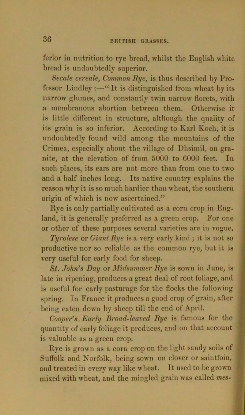 ferior in nutrition to rye bread, whilst the English white bread is undoubtedly superior. Secale cereale, Common Rye, is thus described by Pro- fessor Lindley :—“ It is distinguished from wheat by its narrow glumes, and constantly twin narrow florets, with a membranous abortion between them. Otherwise it is little different in structure, although the quality of its grain is so inferior. According to Karl Koch, it is undoubtedly found wild among the mountains of the Crimea, especially about the village of Dhsimil, on gra- nite, at the elevation of from 5000 to G000 feet. In such places, its ears are not more than from one to two and a half inches long. Its native country explains the reason why it is so much hardier than wheat, the southern origin of which is now ascertained.” Kye is only partially cultivated as a corn crop in Eng- land, it is generally preferred as a green crop. For one or other of these purposes several varieties arc in vogue. Tyrolese or Giant Rye is a very early kind ; it is not so productive nor so reliable as the common rye, but it is very useful for early food for sheep. St. John's Day or Midsummer Rye is sown in June, is late in ripening, produces a great deal of root foliage, and is useful for early pasturage for the flocks the following spring. In France it produces a good crop of grain, after being eaten down by sheep till the end of April. Cooper’s Early Broad-leaved Rye is famous for the quantity of early foliage it produces, and on that account is valuable as a green crop. live is grown as a corn crop on the light sandy soils of Suffolk and Norfolk, being sown on clover or saintfoin, and treated in every way like wheat. It used to be grown mixed with wheat, and the mingled grain was called mes
