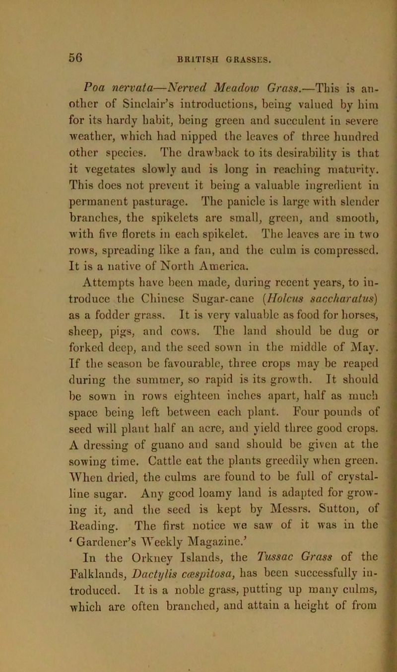 Poa nervata—Nerved Meadow Grass.—This is an- other of Sinclair’s introductions, being valued by him for its hardy habit, being green and succulent in severe weather, which had nipped the leaves of three hundred other species. The drawback to its desirability is that it vegetates slowly and is long in reaching maturity. This does not prevent it being a valuable ingredient in permanent pasturage. The panicle is large with slender branches, the spikelets are small, green, and smooth, with five florets in each spikelet. The leaves are in two rows, spreading like a fan, and the culm is compressed. It is a native of North America. Attempts have been made, during recent years, to in- troduce the Chinese Sugar-cane (Hofcus saccharatus) as a fodder grass. It is very valuable as food for horses, sheep, pigs, and cows. The land should be dug or forked deep, and the seed sown in the middle of May. If the season be favourable, three crops may be reaped during the summer, so rapid is its growth. It should be sown in rows eighteen inches apart, half as much space being left between each plant. Four pounds of seed will plant half an acre, and yield three good crops. A dressing of guano and sand should be given at the sowing time. Cattle eat the plants greedily when green. When dried, the culms are found to be full of crystal- line sugar. Any good loamy land is adapted for grow- ing it, and tbe seed is kept by Messrs. Sutton, of Reading. The first notice we saw of it was in the ‘ Gardener’s Weekly Magazine.’ In the Orkney Islands, the Tussac Grass of the Falklands, Dactylis ccespitosa, has been successfully in- troduced. It is a noble grass, putting up many culms, which are often branched, and attain a height of from