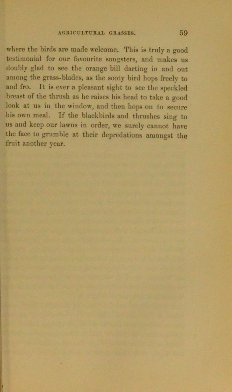 where the birds are made welcome. This is truly a good testimonial for our favourite songsters, and makes us doubly glad to see the orange bill darting in and out among the grass-blades, as the sooty bird hops freely to and fro. It is ever a pleasant sight to see the speckled breast of the thrush as he raises his head to take a good look at us in the window, and then hops on to secure his own meal. If the blackbirds and thrushes sing to us and keep our lawns in order, we surely cannot have the face to grumble at their depredations amongst the fruit another year.