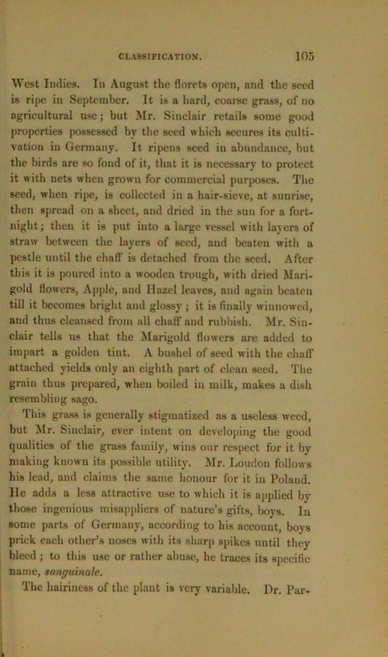 West Indies. In August the florets open, and the seed is ripe in September. It is a hard, coarse grass, of no agricultural use; but Mr. Sinclair retails some good properties possessed by the seed which secures its culti- vation in Germany. It ripens seed in abundance, hut the birds are so fond of it, that it is necessary to protect it with nets when grown for commercial purposes. The seed, when ripe, is collected in a hair-sieve, at suurise, then spread on a sheet, and dried in the sun for a fort- night; then it is put into a large vessel with layers of straw between the layers of seed, and beaten with a pestle until the chaff is detached from the seed. After this it is poured into a wooden trough, with dried Mari- gold flowers, Apple, and Ilazel leaves, and again beateu till it becomes bright and glossy ; it is finally winnowed, and thus cleansed from all chaff and rubbish. Mr. Sin- clair tells us that the Marigold flowers are added to impart a golden tint. A bushel of seed with the chaff attached yields only an eighth part of clean seed. The grain thus prepared, when boiled in milk, makes a dish resembling sago. This grass is generally stigmatized as a useless weed, but Mr. Sinclair, ever intent on developing the good qualities of the grass family, w ins our respect for it by making known its possible utility. Mr. Loudon follows his lead, and claims the same honour for it in Poland. He adds a less attractive use to which it is applied by those ingenious misappliers of nature’s gifts, boys. In some parts of Germany, according to his account, boys prick each other’s noses with its sharp spikes until they bleed ; to this use or rather abuse, he traces its specific name, sanguinale. The hairiness of the plant is very variable. Dr. Par-