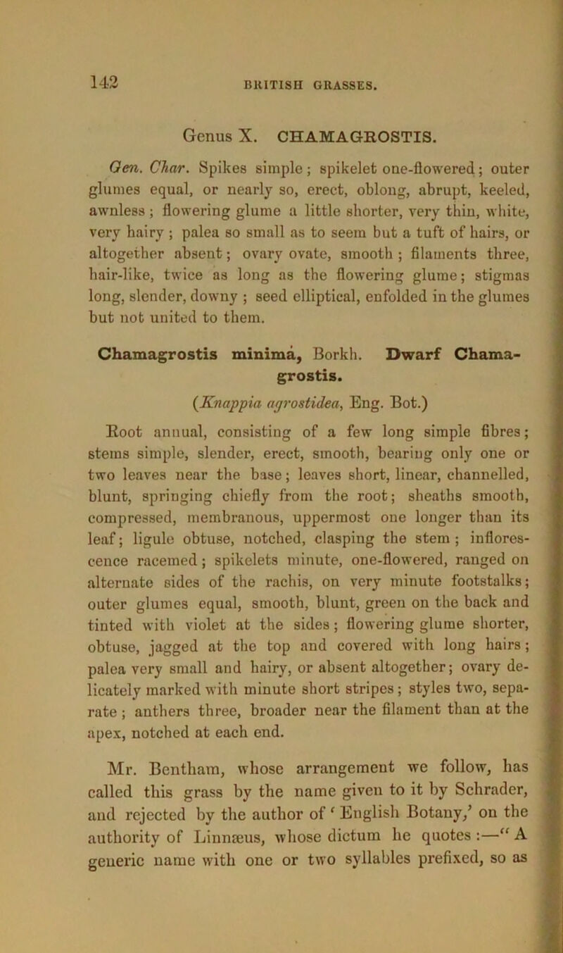 Genus X. CHAMAGROSTIS. Gen. Char. Spikes simple; spikelet one-flowered; outer glumes equal, or nearly so, erect, oblong, abrupt, keeled, awnless ; flowering glume a little shorter, very thin, white, very hairy ; palea so small as to seem but a tuft of hairs, or altogether absent; ovary ovate, smootli; filaments three, hair-like, twice as long as the flowering glume; stigmas long, slender, downy ; seed elliptical, enfolded in the glumes but not united to them. Chamagrostis minima, Borkh. Dwarf Chama- grostis. (Knappia agrostidea, Eng. Bot.) Boot annual, consisting of a few long simple fibres; stems simple, slender, erect, smooth, bearing only one or two leaves near the base; leaves short, linear, channelled, blunt, springing chiefly from the root; sheaths smooth, compressed, membranous, uppermost one longer than its leaf; ligule obtuse, notched, clasping the stem ; inflores- cence racemed; spikelets minute, one-flowered, ranged on alternate sides of the rachis, on very minute footstalks; outer glumes equal, smooth, blunt, green on the back and tinted with violet at the sides; flowering glume shorter, obtuse, jagged at the top and covered with long hairs ; palea very small and hairy, or absent altogether; ovary de- licately marked with minute short stripes; styles two, sepa- rate ; anthers three, broader near the filament than at the apex, notched at each end. Mr. Bentham, whose arrangement we follow, has called this grass by the name given to it by Schrader, and rejected by the author of ‘ English Botany/ on the authority of Linnaeus, whose dictum he quotes :—“ A generic name with one or two syllables prefixed, so as