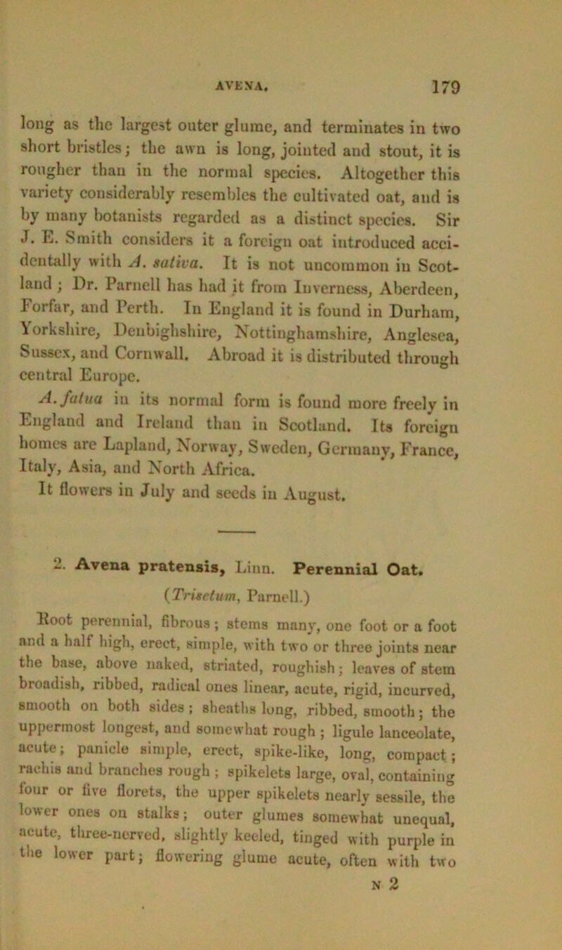 long as the largest outer glume, and terminates in two short bristles; the awn is long, joiuted and stout, it is rougher than in the normal species. Altogether this variety considerably resembles the cultivated oat, and is by many botanists regarded as a distinct species. Sir «T. E. Smith considers it a foreign oat introduced acci- dentally with A. saliva. It is not uncommon in Scot- land ; Dr. Parnell has had it from Inverness, Aberdeen, Forfar, and Perth. In England it is found in Durham, Yorkshire, Denbighshire, Nottinghamshire, Anglesea, Sussex, and Cornwall. Abroad it is distributed through central Europe. A. fulna in its norma] form is found more frcelv in England and Ireland than in Scotland, Its foreign homes are Lapland, Norway, Sweden, Germany, France, Italy, Asia, and North Africa. It flowers in July and seeds in August, **• Avena pratensis, Linn. Perennial Oat. (Trisetum, Parnell.) Hoot perennial, fibrous ; stems many, one foot or a foot aial a half high, erect, simple, with two or three joints near the base, above naked, striated, roughish; leaves of stem broadish, ribbed, radical ones linear, acute, rigid, incurved, smooth on both sides ; sheaths long, ribbed, smooth; the uppermost longest, and somewhat rough ; ligule lanceolate, acute; panicle simple, erect, spike-like, long, compact’; rachis and branches rough ; spikelets large, oval, containing four or five florets, the upper spikelets nearly sessile, the lower ones on stalks; outer glumes somewhat unequal, acute, three-nerved, slightly keeled, tinged with purple in the lower part; flowering glume acute, often with two n 2