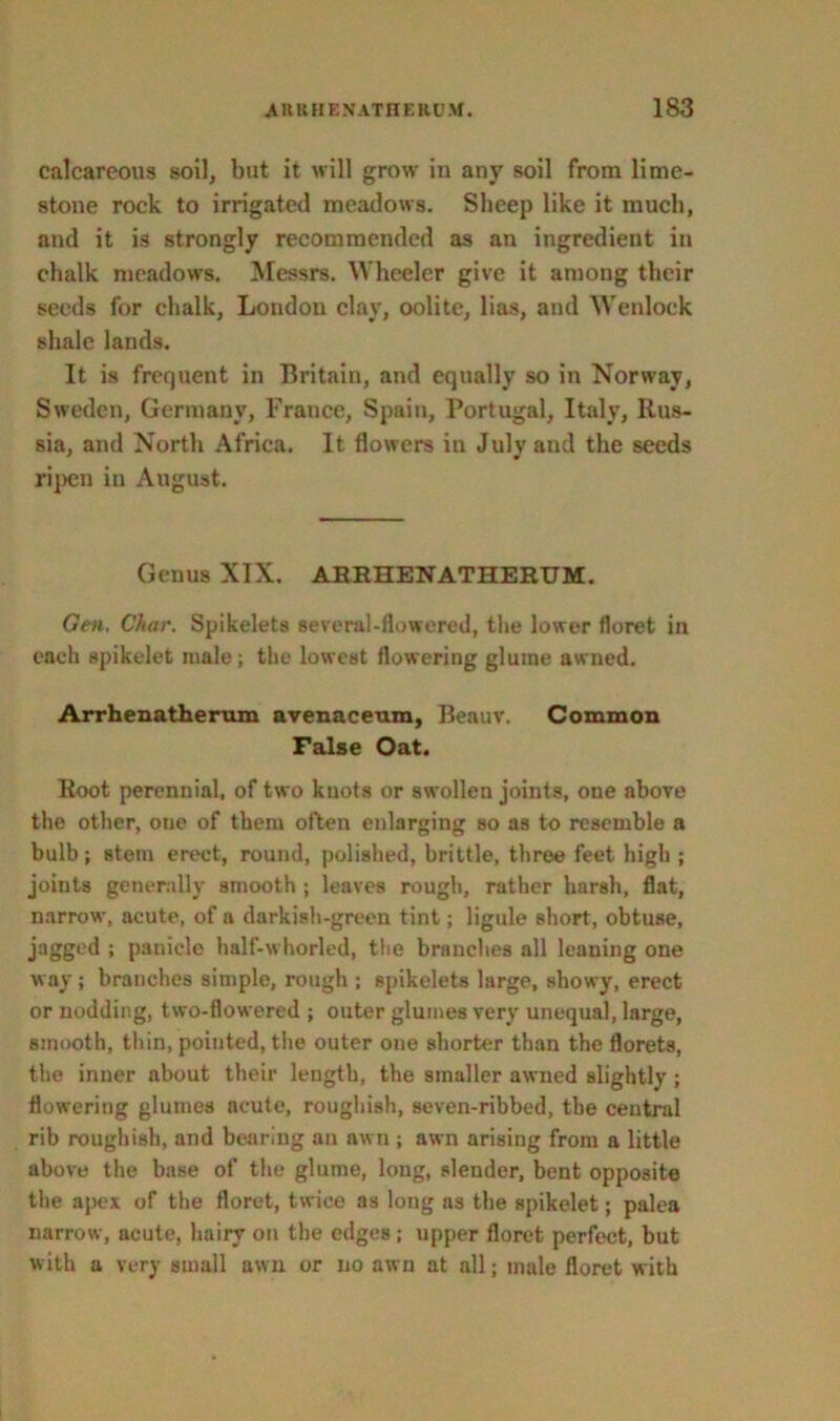 calcareous soil, but it will grow in any soil from lime- stone rock to irrigated meadows. Sheep like it much, and it is strongly recommended as an ingredient in chalk meadows. Messrs. Wheeler give it among their seeds for chalk, London clay, oolite, lias, and Wenlock shale lands. It is frequent in Britain, and equally so in Norway, Sweden, Germany, France, Spain, Portugal, Italy, Rus- sia, and North Africa. It flowers in Julv and the seeds ripen in August. Genus XIX. ARHHENATHERUM. Gen. Char. Spikelets several-flowered, the lower floret in each spikelet male; the lowest flowering glume awued. Arrhenatherum avenaceura, Beauv. Common False Oat. Root perennial, of two knots or swollen joints, one above the other, oue of them often enlarging so as to resemble a bulb; stem erect, round, polished, brittle, three feet high; joints generally smooth ; leaves rough, rather harsh, flat, narrow, acute, of a darkish-green tint; ligule short, obtuse, jagged ; panicle half-whorled, the branches all leaning one way; branches simple, rough ; spikelets large, showy, erect or nodding, two-flowered ; outer glumes very unequal, large, smooth, thin, pointed, the outer one shorter than the florets, the inner about their length, the smaller awned slightly ; flowering glumes acute, roughish, seven-ribbed, the central rib roughish, and bearing an awn ; awn arising from a little above the base of the glume, long, slender, bent opposite the apex of the floret, twice as long as the spikelet; palea narrow, acute, hairy on the edges; upper floret perfect, but with a very small awn or no awn at all; male floret with