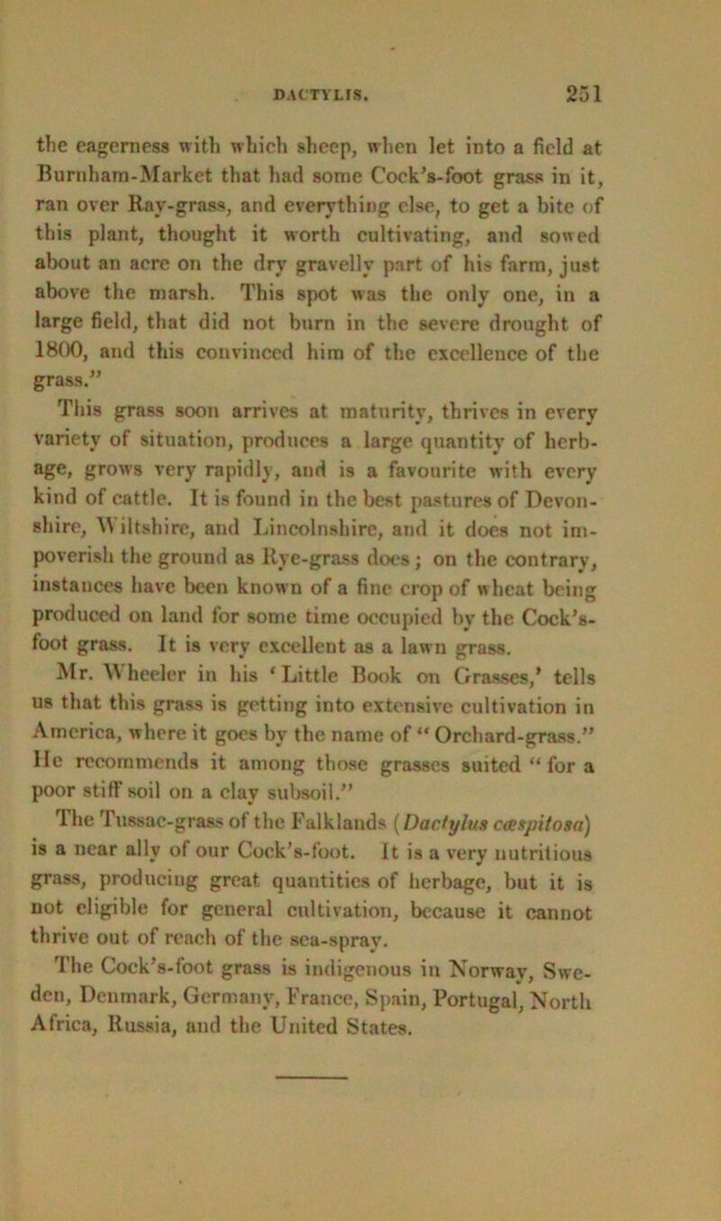 the eagerness with which sheep, when let into a field at Burnham-Market that had some Cock’s-foot grass in it, ran over Rav-grass, and everything else, to get a bite of this plant, thought it worth cultivating, and sowed about an acre on the dry gravelly part of his farm, just above the marsh. This spot was the only one, in a large field, that did not burn in the severe drought of 1800, and this convinced him of the excellence of the grass.” This grass soon arrives at maturity, thrives in every variety of situation, produces a large quantity of herb- age, grows very rapidly, and is a favourite with every kind of cattle. It is found in the best pastures of Devon- shire, W iltshire, and Lincolnshire, and it does not im- poverish the ground as Rye-grass does; on the contrary, instances have been known of a fine crop of wheat being produced on land for some time occupied by the Cock’s- foot grass. It is very excellent as a lawn grass. Mr. Wheeler in his ‘ Little Book on Grasses,' tells us that this grass is getting into extensive cultivation in America, where it goes by the name of “ Orchard-grass.” lie recommends it among those grasses suited “ for a poor stiff soil on a clay subsoil.” Ihe Tussac-grass ot the Falklands (Daciylus caxpitosa) is a near ally of our Cock’s-foot. It is a very nutritious grass, producing great quantities of herbage, but it is not eligible for general cultivation, because it cannot thrive out of reach of the sea-spray. The Cock’s-foot grass is indigenous in Norway, Swe- den, Denmark, Germany, France, Spain, Portugal, North Africa, Russia, and the United States.