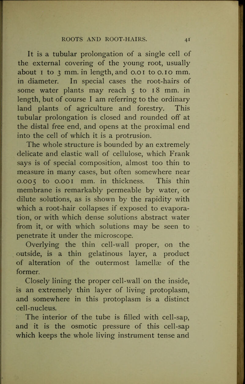 It is a tubular prolongation of a single cell of the external covering of the young root, usually about 1 to 3 mm. in length, and 0.01 to o. 10 mm. in diameter. In special cases the root-hairs of some water plants may reach 5 to 18 mm. in length, but of course I am referring to the ordinary land plants of agriculture and forestry. This tubular prolongation is closed and rounded off at the distal free end, and opens at the proximal end into the cell of which it is a protrusion. The whole structure is bounded by an extremely delicate and elastic wall of cellulose, which Frank says is of special composition, almost too thin to measure in many cases, but often somewhere near 0.005 to 0.001 mm. in thickness. This thin membrane is remarkably permeable by water, or dilute solutions, as is shown by the rapidity with which a root-hair collapses if exposed to evapora- tion, or with which dense solutions abstract water from it, or with which solutions may be seen to penetrate it under the microscope. Overlying the thin cell-wall proper, on the outside, is a thin gelatinous layer, a product of alteration of the outermost lamellae of the former. Closely lining the proper cell-wall on the inside, is an extremely thin layer of living protoplasm, and somewhere in this protoplasm is a distinct cell-nucleus. The interior of the tube is filled with cell-sap, and it is the osmotic pressure of this cell-sap which keeps the whole living instrument tense and