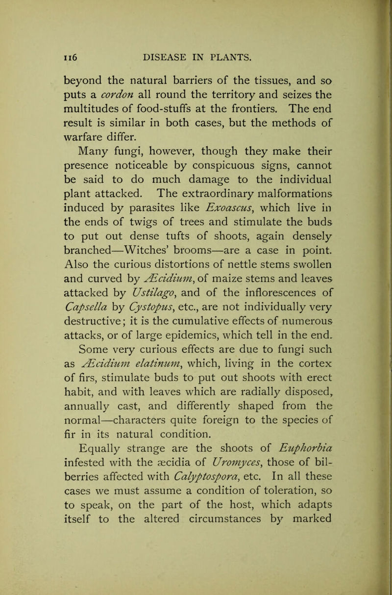 beyond the natural barriers of the tissues, and so puts a cordon all round the territory and seizes the multitudes of food-stufifs at the frontiers. The end result is similar in both cases, but the methods of warfare differ. Many fungi, however, though they make their presence noticeable by conspicuous signs, cannot be said to do much damage to the individual plant attacked. The extraordinary malformations induced by parasites like Exoascus, which live in the ends of twigs of trees and stimulate the buds to put out dense tufts of shoots, again densely branched—Witches’ brooms—are a case in point. Also the curious distortions of nettle stems swollen and curved by AZcidium, of maize stems and leaves attacked by Ustilago, and of the inflorescences of Capsella by Cystopus, etc., are not individually very destructive; it is the cumulative effects of numerous attacks, or of large epidemics, which tell in the end. Some very curious effects are due to fungi such as ^Ecidium elatinum, which, living in the cortex of firs, stimulate buds to put out shoots with erect habit, and with leaves which are radially disposed, annually cast, and differently shaped from the normal—characters quite foreign to the species of fir in its natural condition. Equally strange are the shoots of Euphorbia infested with the aecidia of Uromyces, those of bil- berries affected with Calyptospora, etc. In all these cases we must assume a condition of toleration, so to speak, on the part of the host, which adapts itself to the altered circumstances by marked