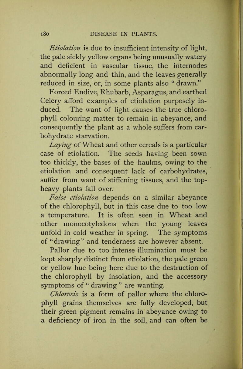 Etiolation is due to insufficient intensity of light, the pale sickly yellow organs being unusually watery and deficient in vascular tissue, the internodes abnormally long and thin, and the leaves generally reduced in size, or, in some plants also “ drawn.” Forced Endive, Rhubarb, Asparagus, and earthed Celery afford examples of etiolation purposely in- duced. The want of light causes the true chloro- phyll colouring matter to remain in abeyance, and consequently the plant as a whole suffers from car- bohydrate starvation. Laying of Wheat and other cereals is a particular case of etiolation. The seeds having been sown too thickly, the bases of the haulms, owing to the etiolation and consequent lack of carbohydrates, suffer from want of stiffening tissues, and the top- heavy plants fall over. False etiolation depends on a similar abeyance of the chlorophyll, but in this case due to too low a temperature. It is often seen in Wheat and other monocotyledons when the young leaves unfold in cold weather in spring. The symptoms of “drawing” and tenderness are however absent. Pallor due to too intense illumination must be kept sharply distinct from etiolation, the pale green or yellow hue being here due to the destruction of the chlorophyll by insolation, and the accessory symptoms of “ drawing ” are wanting. Chlorosis is a form of pallor where the chloro- phyll grains themselves are fully developed, but their green pigment remains in abeyance owing to a deficiency of iron in the soil, and can often be