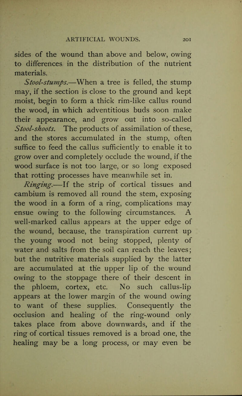sides of the wound than above and below, owing to differences in the distribution of the nutrient materials. Stool-stumps.—When a tree is felled, the stump may, if the section is close to the ground and kept moist, begin to form a thick rim-like callus round the wood, in which adventitious buds soon make their appearance, and grow out into so-called Stool-shoots. The products of assimilation of these, and the stores accumulated in the stump, often suffice to feed the callus sufficiently to enable it to grow over and completely occlude the wound, if the wood surface is not too large, or so long exposed that rotting processes have meanwhile set in. Ringing.—If the strip of cortical tissues and cambium is removed all round the stem, exposing the wood in a form of a ring, complications may ensue owing to the following circumstances. A well-marked callus appears at the upper edge of the wound, because, the transpiration current up the young wood not being stopped, plenty of water and salts from the soil can reach the leaves; but the nutritive materials supplied by the latter are accumulated at the upper lip of the wound owing to the stoppage there of their descent in the phloem, cortex, etc. No such callus-lip appears at the lower margin of the wound owing to want of these supplies. Consequently the occlusion and healing of the ring-wound only takes place from above downwards, and if the ring of cortical tissues removed is a broad one, the healing may be a long process, or may even be