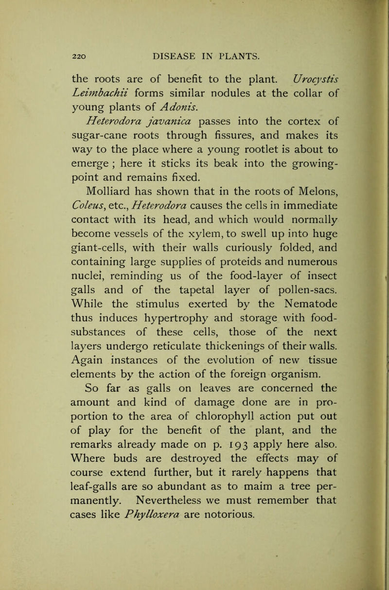 the roots are of benefit to the plant. Urocystis Leimbachii forms similar nodules at the collar of young plants of Adonis. Heterodora javanica passes into the cortex of sugar-cane roots through fissures, and makes its way to the place where a young rootlet is about to emerge ; here it sticks its beak into the growing- point and remains fixed. Molliard has shown that in the roots of Melons, Coleus, etc., Heterodora causes the cells in immediate contact with its head, and which would normally become vessels of the xylem, to swell up into huge giant-cells, with their walls curiously folded, and containing large supplies of proteids and numerous nuclei, reminding us of the food-layer of insect galls and of the tapetal layer of pollen-sacs. While the stimulus exerted by the Nematode thus induces hypertrophy and storage with food- substances of these cells, those of the next layers undergo reticulate thickenings of their walls. Again instances of the evolution of new tissue elements by the action of the foreign organism. So far as galls on leaves are concerned the amount and kind of damage done are in pro- portion to the area of chlorophyll action put out of play for the benefit of the plant, and the remarks already made on p. 193 apply here also. Where buds are destroyed the effects may of course extend further, but it rarely happens that leaf-galls are so abundant as to maim a tree per- manently. Nevertheless we must remember that cases like Phylloxera are notorious.