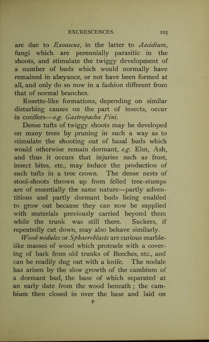 I EXCRESCENCES. 225 are due to Exoascus, in the latter to Aecidium, fungi which are perennially parasitic in the shoots, and stimulate the twiggy development of a number of buds which would normally have remained in abeyance, or not have been formed at all, and only do so now in a fashion different from that of normal branches. Rosette-like formations, depending on similar disturbing causes on the part of insects, occur in conifers—eg. Gastropacha Pini. Dense tufts of twiggy shoots may be developed on many trees by pruning in such a way as to stimulate the shooting out of basal buds which would otherwise remain dormant, eg. Elm, Ash, and thus it occurs that injuries such as frost, insect bites, etc., may induce the production of such tufts in a tree crown. The dense nests of stool-shoots thrown up from felled tree-stumps are of essentially the same nature—partly adven- titious and partly dormant buds being enabled to grow out because they can now be supplied with materials previously carried beyond them while the trunk was still there. Suckers, if repeatedly cut down, may also behave similarly. Wood-nodules or Sphaeroblasts are curious marble- like masses of wood which protrude with a cover- ing of bark from old trunks of Beeches, etc., and can be readily dug out with a knife. The nodule has arisen by the slow growth of the cambium of a dormant bud, the base of which separated at an early date from the wood beneath ; the cam- bium then closed in over the base and laid on p