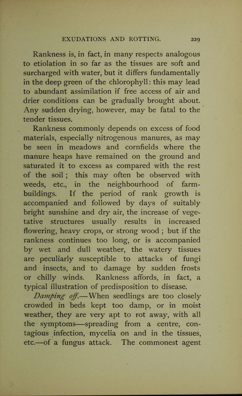 Rankness is, in fact, in many respects analogous to etiolation in so far as the tissues are soft and surcharged with water, but it differs fundamentally in the deep green of the chlorophyll: this may lead to abundant assimilation if free access of air and drier conditions can be gradually brought about. Any sudden drying, however, may be fatal to the tender tissues. Rankness commonly depends on excess of food materials, especially nitrogenous manures, as may be seen in meadows and cornfields where the manure heaps have remained on the ground and saturated it to excess as compared with the rest of the soil ; this may often be observed with weeds, etc., in the neighbourhood of farm- buildings. If the period of rank growth is accompanied and followed by days of suitably bright sunshine and dry air, the increase of vege- tative structures usually results in increased flowering, heavy crops, or strong wood ; but if the rankness continues too long, or is accompanied by wet and dull weather, the watery tissues are peculiarly susceptible to attacks of fungi and insects, and to damage by sudden frosts or chilly winds. Rankness affords, in fact, a typical illustration of predisposition to disease. Damping off.—When seedlings are too closely crowded in beds kept too damp, or in moist weather, they are very apt to rot away, with all the symptoms—spreading from a centre, con- tagious infection, mycelia on and in the tissues, etc.—of a fungus attack. The commonest agent