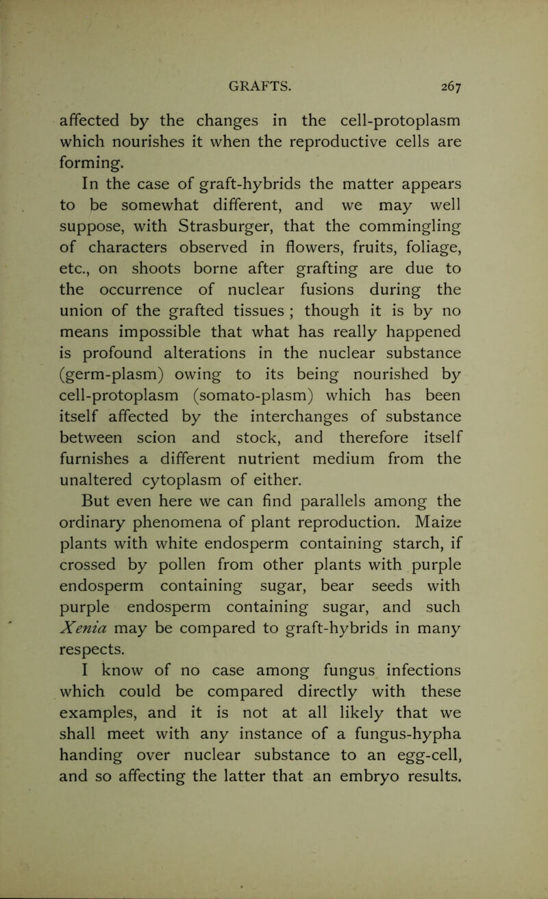 affected by the changes in the cell-protoplasm which nourishes it when the reproductive cells are forming. In the case of graft-hybrids the matter appears to be somewhat different, and we may well suppose, with Strasburger, that the commingling of characters observed in flowers, fruits, foliage, etc., on shoots borne after grafting are due to the occurrence of nuclear fusions during the union of the grafted tissues ; though it is by no means impossible that what has really happened is profound alterations in the nuclear substance (germ-plasm) owing to its being nourished by cell-protoplasm (somato-plasm) which has been itself affected by the interchanges of substance between scion and stock, and therefore itself furnishes a different nutrient medium from the unaltered cytoplasm of either. But even here we can find parallels among the ordinary phenomena of plant reproduction. Maize plants with white endosperm containing starch, if crossed by pollen from other plants with purple endosperm containing sugar, bear seeds with purple endosperm containing sugar, and such Xenia may be compared to graft-hybrids in many respects. I know of no case among fungus infections which could be compared directly with these examples, and it is not at all likely that we shall meet with any instance of a fungus-hypha handing over nuclear substance to an egg-cell, and so affecting the latter that an embryo results.