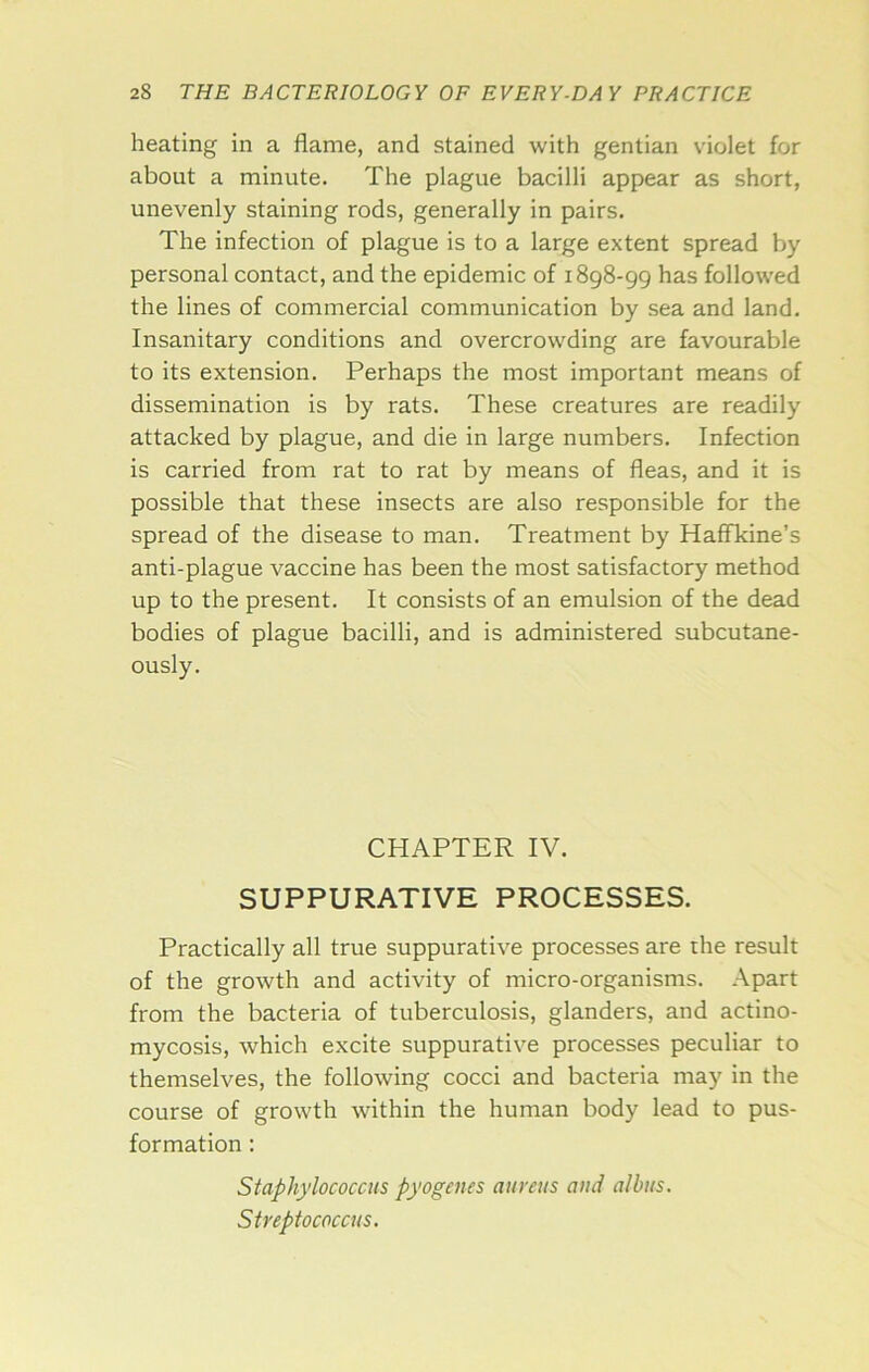 heating in a flame, and stained with gentian violet for about a minute. The plague bacilli appear as short, unevenly staining rods, generally in pairs. The infection of plague is to a large extent spread by personal contact, and the epidemic of 1898-99 has followed the lines of commercial communication by sea and land. Insanitary conditions and overcrowding are favourable to its extension. Perhaps the most important means of dissemination is by rats. These creatures are readily attacked by plague, and die in large numbers. Infection is carried from rat to rat by means of fleas, and it is possible that these insects are also responsible for the spread of the disease to man. Treatment by Haffkine’s anti-plague vaccine has been the most satisfactory method up to the present. It consists of an emulsion of the dead bodies of plague bacilli, and is administered subcutane- ously. CHAPTER IV. SUPPURATIVE PROCESSES. Practically all true suppurative processes are the result of the growth and activity of micro-organisms. Apart from the bacteria of tuberculosis, glanders, and actino- mycosis, which excite suppurative processes peculiar to themselves, the following cocci and bacteria may in the course of growth within the human body lead to pus- formation ; Staphylococcus pyogenes aureus and albus. Streptococcus.