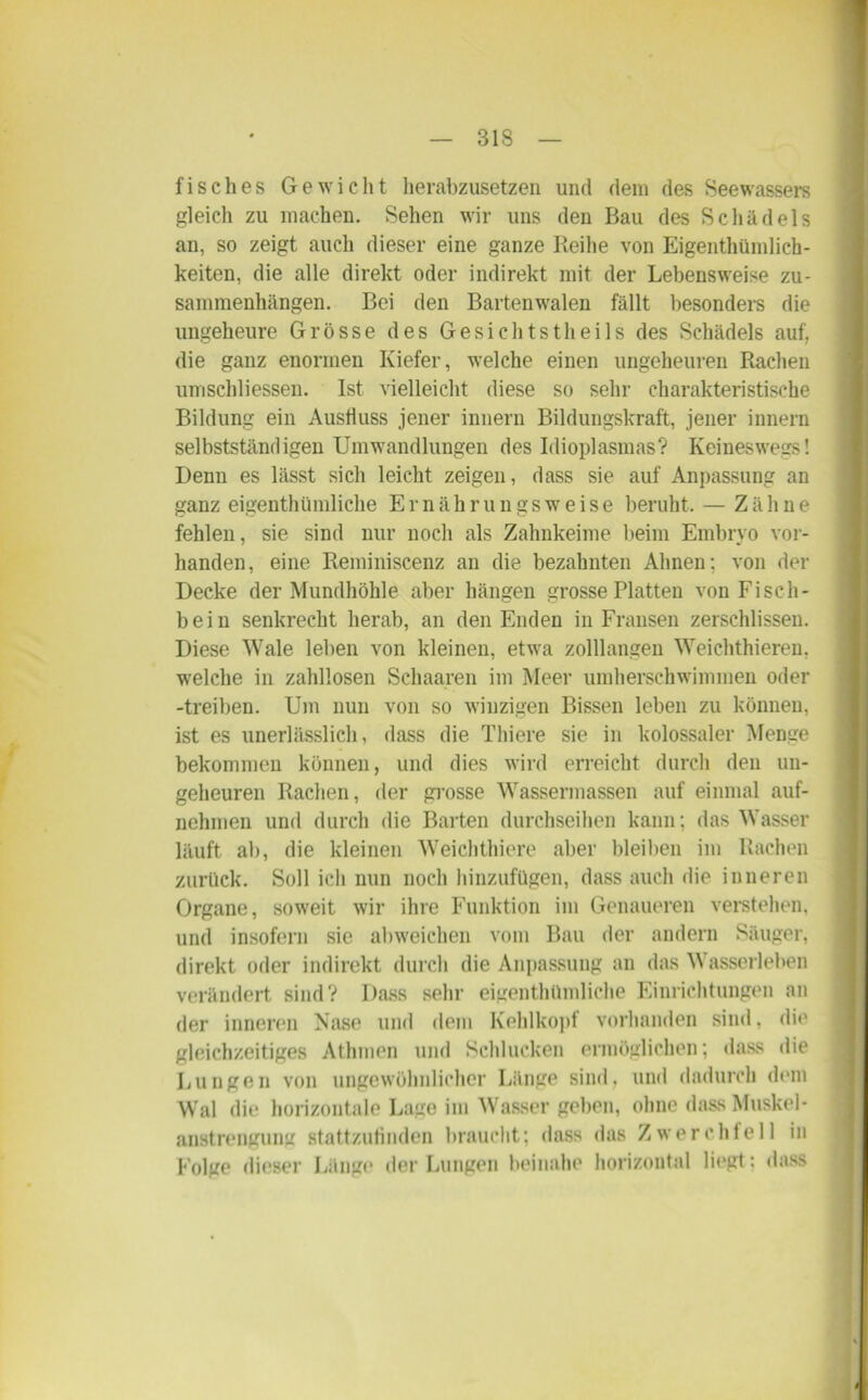 fisches Gewicht herabzusetzen und dem des Seewassers gleich zu machen. Sehen wir uns den Bau des Schädels an, so zeigt auch dieser eine ganze Reihe von Eigenthümlich- keiten, die alle direkt oder indirekt mit der Lebensweise Zu- sammenhängen. Bei den Bartenwalen fällt besonders die ungeheure Grösse des Gesichtstheils des Schädels auf, die ganz enormen Kiefer, welche einen ungeheuren Rachen umschliessen. Ist vielleicht diese so sehr charakteristische Bildung ein Ausfiuss jener innern Bildungskraft, jener innern selbstständigen Umwandlungen des Idioplasmas? Keineswegs! Denn es lässt sich leicht zeigen, dass sie auf Anpassung an ganz eigentümliche Ernährungsweise beruht. — Zähne fehlen, sie sind nur noch als Zahnkeime beim Embryo vor- handen, eine Reininiscenz an die bezahnten Ahnen; von der Decke der Mundhöhle aber hängen grosse Platten von Fi sch- bein senkrecht herab, an den Enden in Fransen zerschlissen. Diese Wale leben von kleinen, etwa zolllangen Weichtieren, welche in zahllosen Schaaren im Meer umherschwimmen oder -treiben. Um nun von so winzigen Bissen leben zu können, ist es unerlässlich, dass die Thiere sie in kolossaler Menge bekommen können, und dies wird erreicht durch den un- geheuren Rachen, der grosse Wassermassen auf einmal auf- nehmen und durch die Barten durchseihen kann; das Wasser läuft ab, die kleinen Weichtiere aber bleiben im Rachen zurück. Soll ich nun noch hinzufügen, dass auch die inneren Organe, soweit wir ihre Funktion im Genaueren verstehen, und insofern sie abweichen vom Bau der andern Säuger, direkt oder indirekt durch die Anpassung an das Wasserleben verändert sind? Dass sehr eigentümliche Einrichtungen an der inneren Nase und dem Kehlkopf vorhanden sind, die gleichzeitiges Atmen und Schlucken ermöglichen; dass die Lungen von ungewöhnlicher Länge sind, und dadurch dem Wal die horizontale Lage im Wasser geben, ohne dass Muskel- anstrengung stattzufinden braucht; dass das Zwerchfell in Folge dieser Länge der Lungen beinahe horizontal liegt: dass