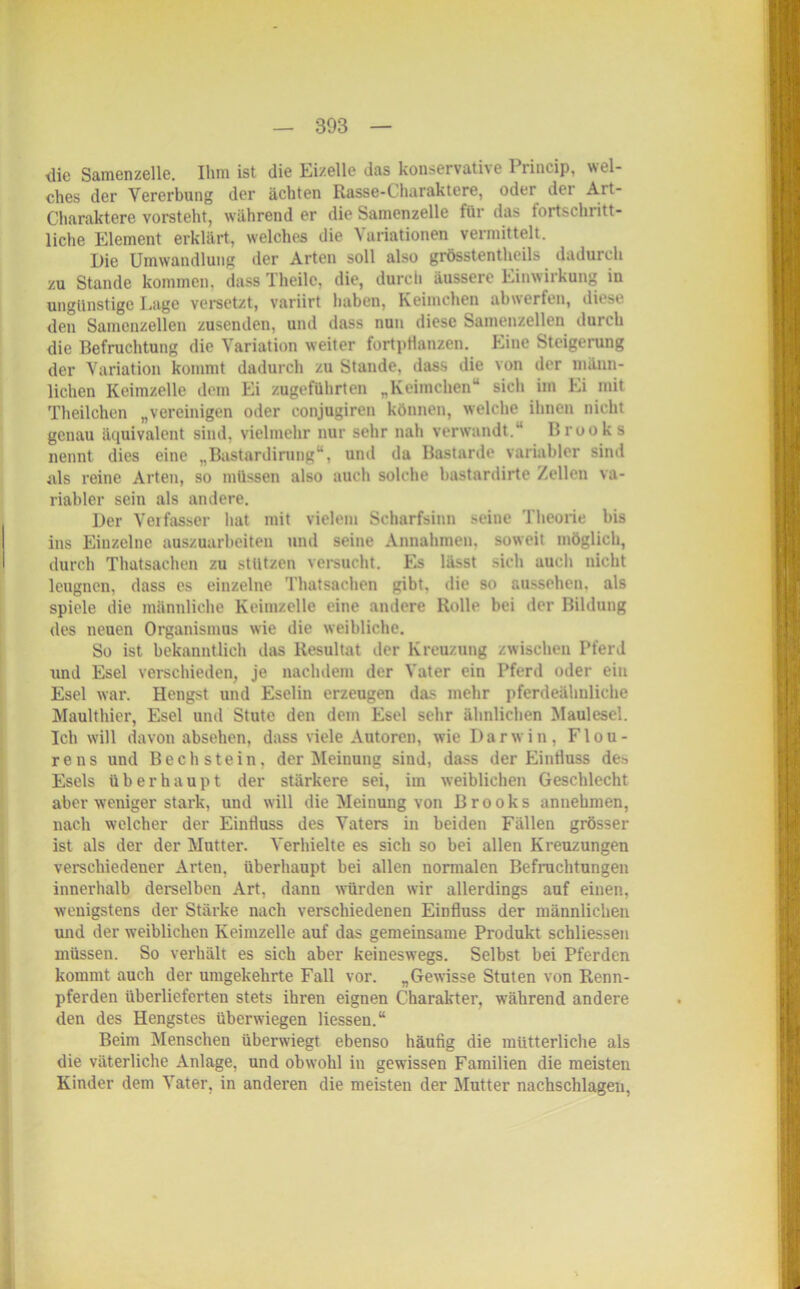 die Samenzelle. Ihm ist die Eizelle das konservative Princip, wel- ches der Vererbung der ächten Rasse-Charaktere, oder der Art- Charaktere vorsteht, während er die Samenzelle für das fortschritt- liche Element erklärt, welches die Variationen vermittelt. Die Umwandlung der Arten soll also grösstentheils dadurch zu Stande kommen, dass Theilc, die, durch äussere Einwirkung in ungünstige Lage versetzt, variirt haben, Keimchen abwerfen, diese den Samenzellen zusenden, und dass nun diese Samenzellen durch die Befruchtung die Variation weiter fortpflanzen. Eine Steigerung der Variation kommt dadurch zu Stande, dass die von der männ- lichen Keimzelle dem Ei zugeführten „Keimchen“ sich im Ei mit Theilchen „vereinigen oder conjugiren können, welche ihnen nicht genau äquivalent sind, vielmehr nur sehr nah verwandt.“ Brooks nennt dies eine „Bastardirung“, und da Bastarde variabler sind als reine Arten, so müssen also auch solche bastardirte Zellen va- riabler sein als andere. Der Verfasser hat mit vielem Scharfsinn seine Theorie bis ins Einzelne auszuarbeiten und seine Annahmen, soweit möglich, durch Tlmtsachen zu stützen versucht. Es lässt sich auch nicht leugnen, dass es einzelne Tlmtsachen gibt, die so aussehen. als spiele die männliche Keimzelle eine andere Rolle bei der Bildung des neuen Organismus wie die weibliche. So ist bekanntlich das Resultat der Kreuzung zwischen Pferd und Esel verschieden, je nachdem der Vater ein Pferd oder ein Esel war. Hengst und Eselin erzeugen das mehr pferdeähnliche Maulthier, Esel und Stute den dem Esel sehr ähnlichen Maulesel. Ich will davon absehen, dass viele Autoren, wie Darwin, Flou- rens und Beeil stein, der Meinung siud, dass der Einfluss de.-> Esels überhaupt der stärkere sei, im weiblichen Geschlecht aber weniger stark, und will die Meinung von Brooks annehmen, nach welcher der Einfluss des Vaters in beiden Fällen grösser ist als der der Mutter. Verhielte es sich so bei allen Kreuzungen verschiedener Arten, überhaupt bei allen normalen Befrachtungen innerhalb derselben Art. dann worden wir allerdings auf einen, wenigstens der Stärke nach verschiedenen Einfluss der männlichen und der weiblichen Keimzelle auf das gemeinsame Produkt schliessen müssen. So verhält es sich aber keineswegs. Selbst bei Pferden kommt auch der umgekehrte Fall vor. „Gewisse Stuten von Renn- pferden überlieferten stets ihren eignen Charakter, während andere den des Hengstes überwiegen Hessen.“ Beim Menschen überwiegt ebenso häutig die mütterliche als die väterliche Anlage, und obwohl in gewissen Familien die meisten Kinder dem Vater, in anderen die meisten der Mutter nachschlagen,
